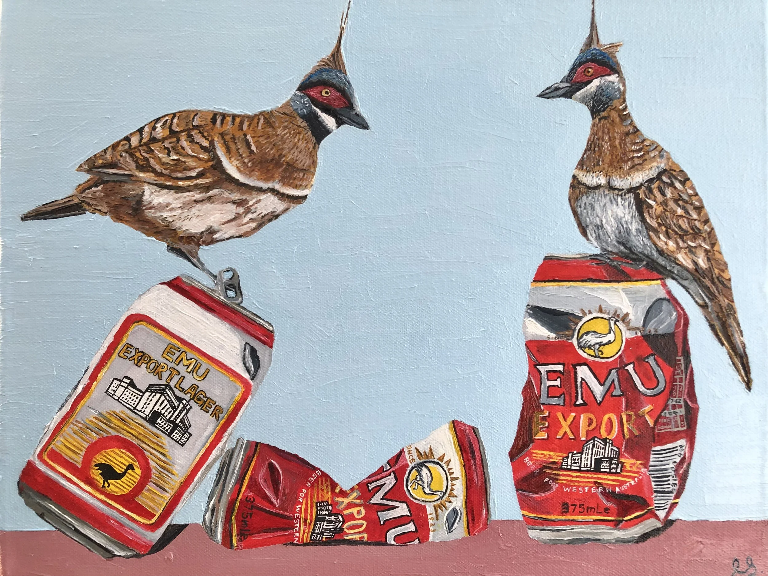 Spinifex pigeons.jpg
