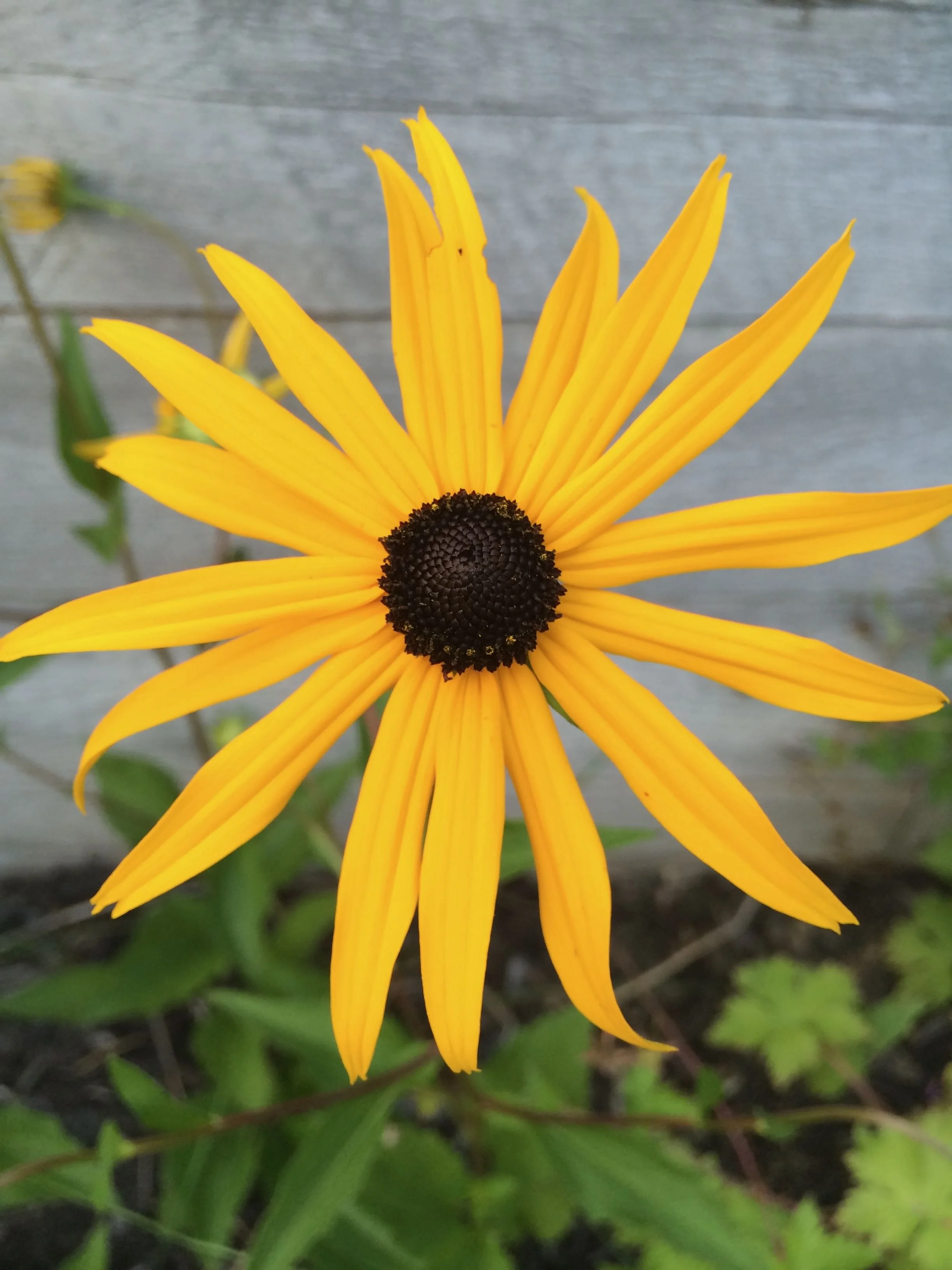 Ensemble pour un internet à haute vitesse