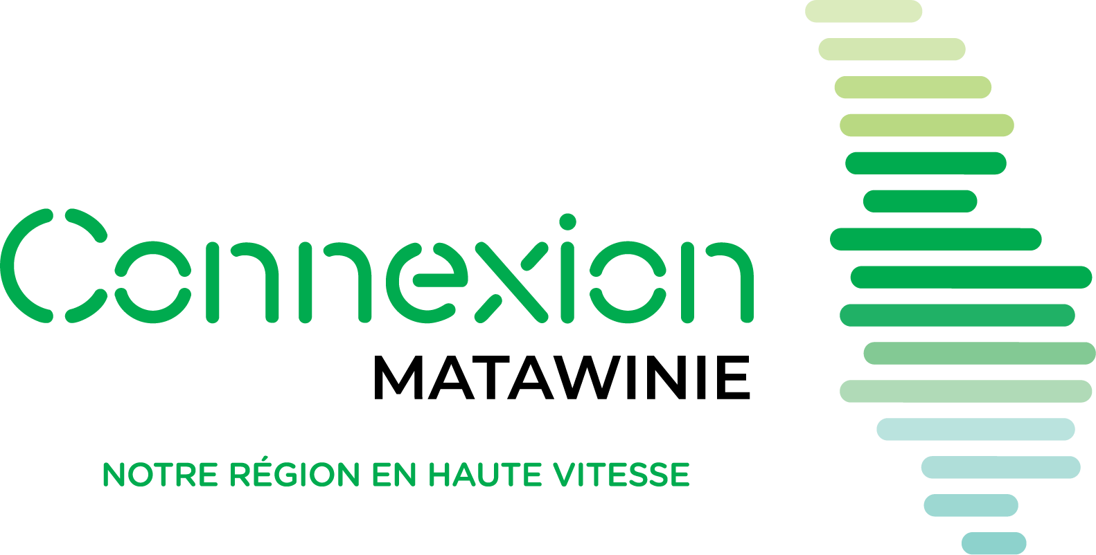 Le projet de fibre optique va bon train en Matawinie! 