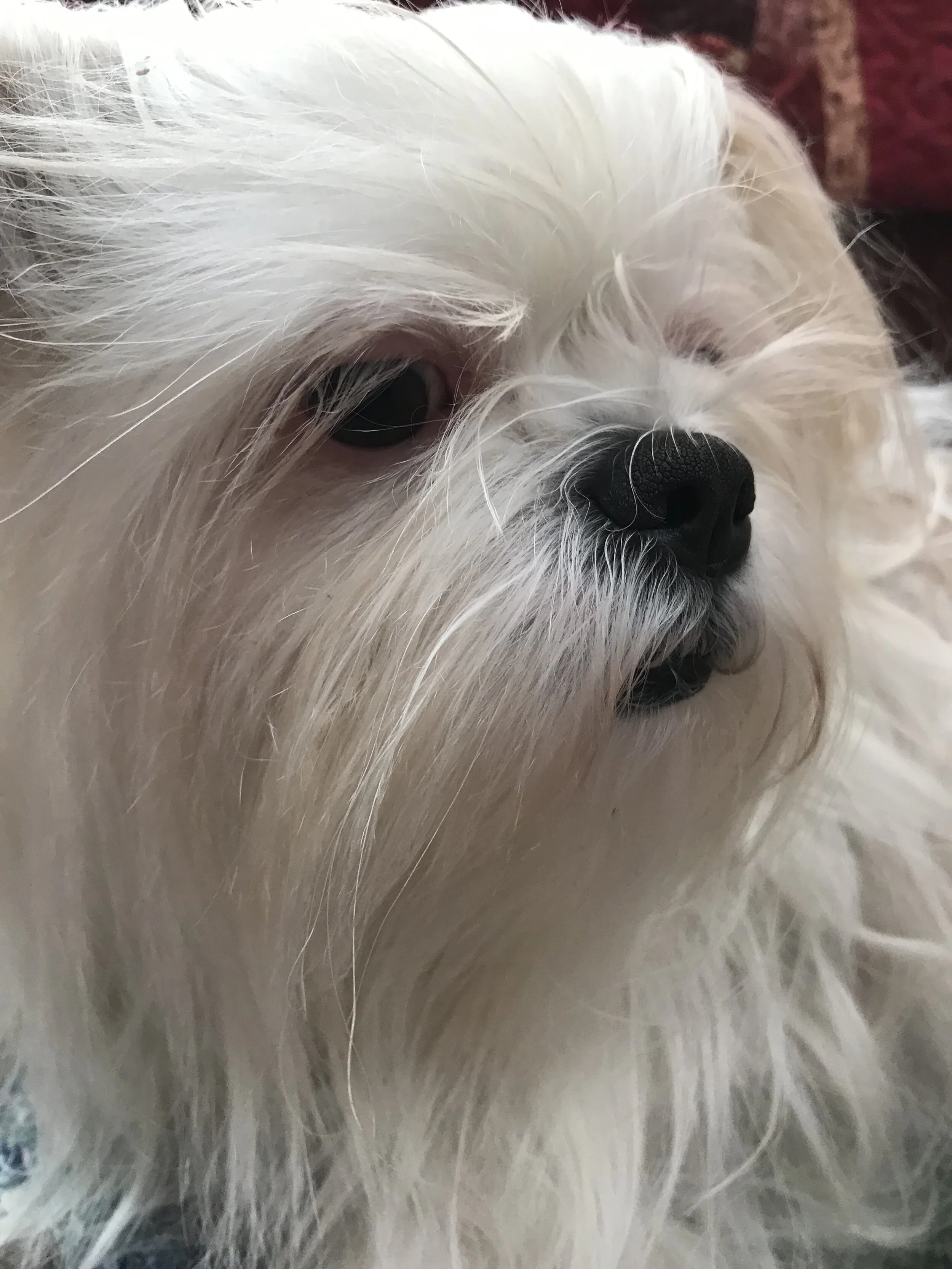 Joe Isaak, Designer And Paper Expert, On Working With Kit Hinrichs, Mechanical Pencils, And Sandhill Cranes