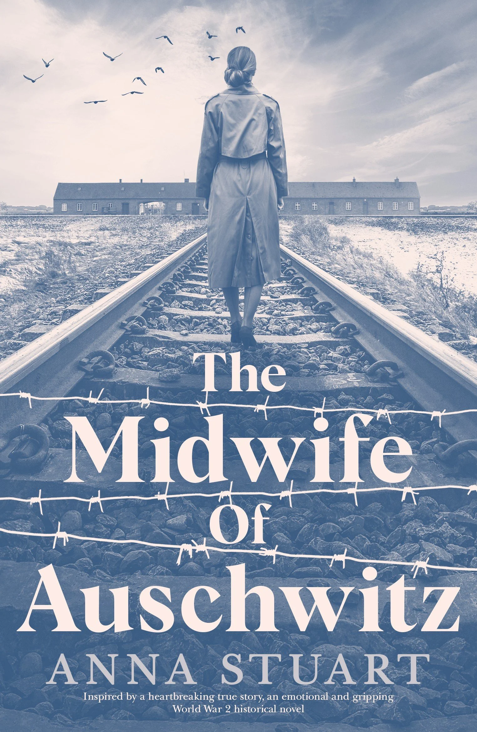 THE MIDWIFE OF AUSCHWITZ wash.jpg