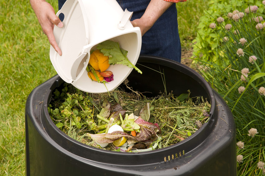 Composting: The Secret to a Beautiful Garden — Ted Collins Tree & Landscape