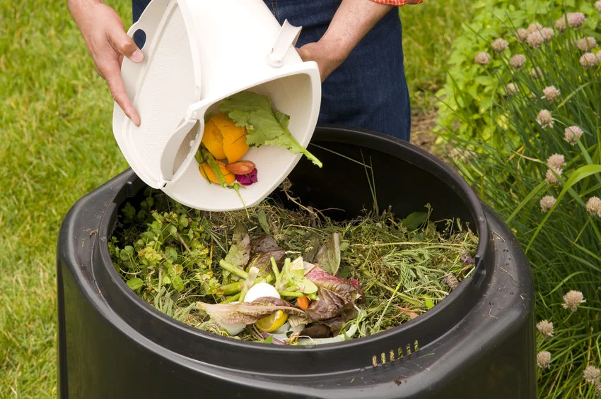 compost_methods_food_scraps.jpg