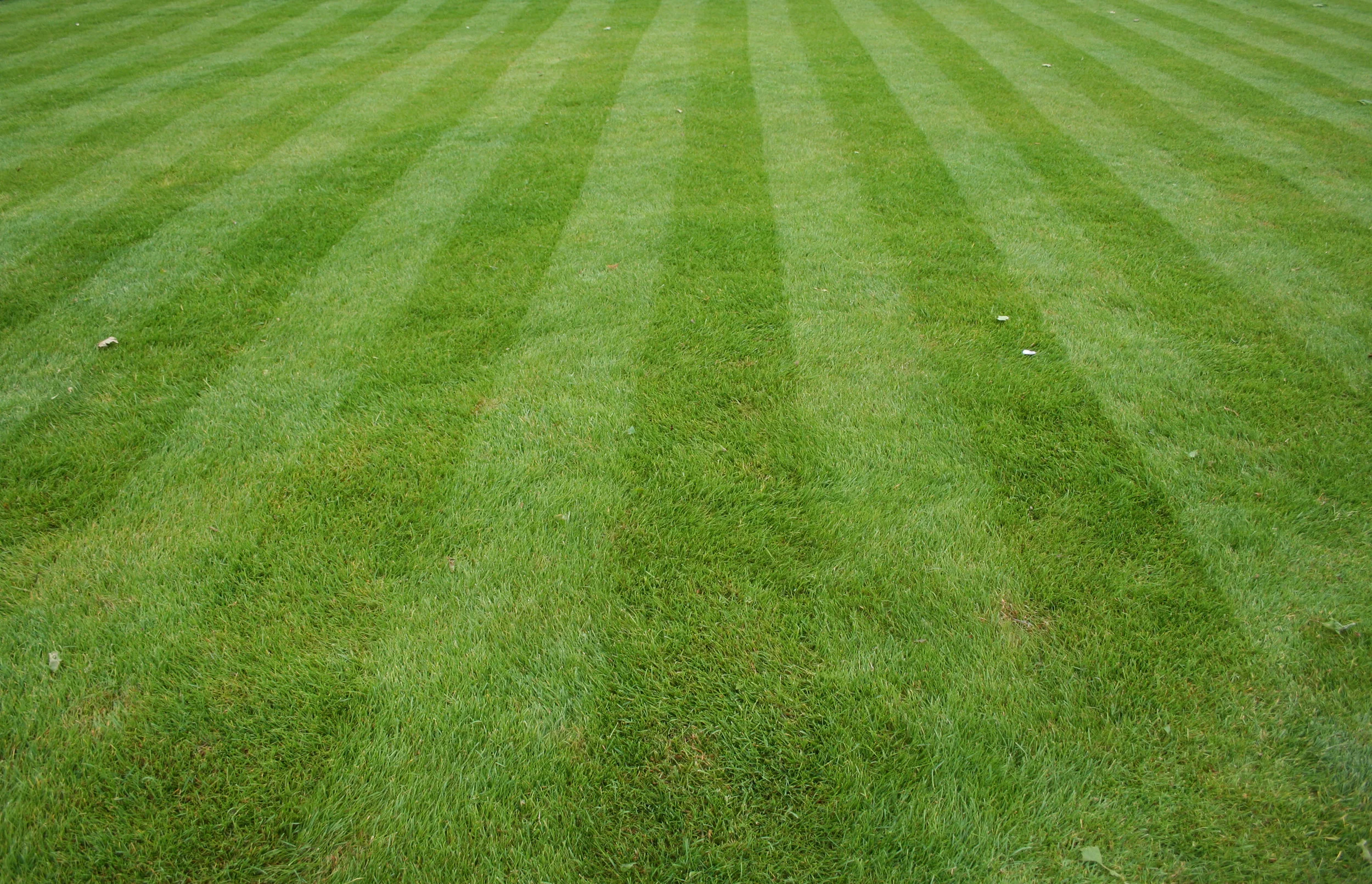 Traditional-Lawn-Fertilizer-Program-Pleasant-View-Nursery-Garden-Center-Worcester-MA.jpg