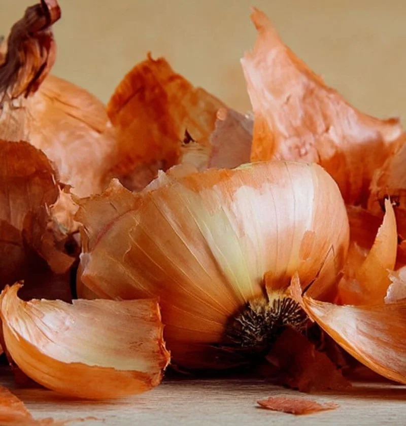 aspic7_Onions_skin_3a810766-7aa8-423c-a53b-18310e587de2_png_80-800x840.webp