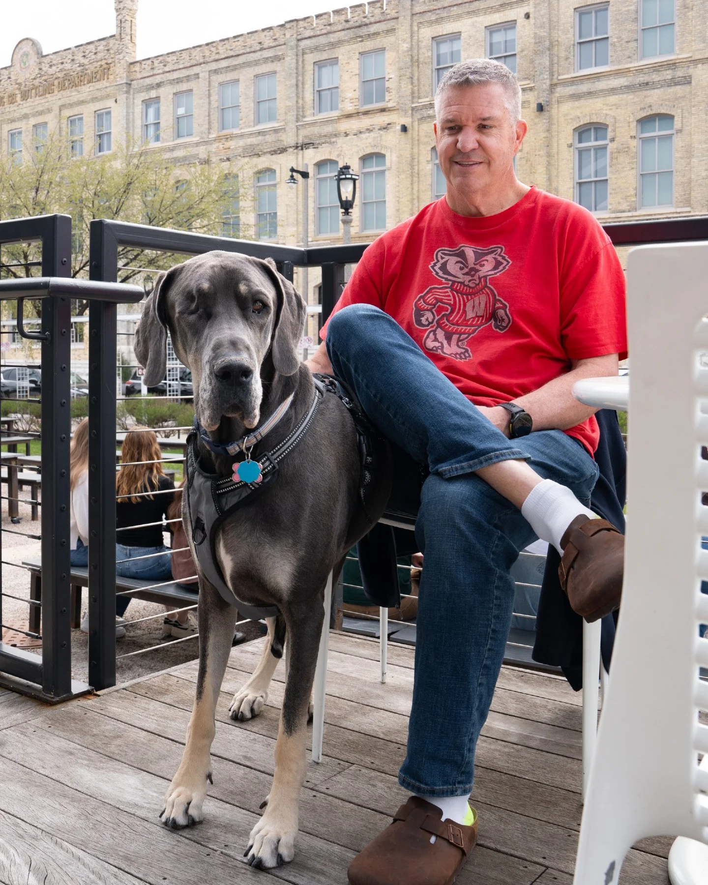 // Spotted on our pet-friendly patio: This one-eyed cutie. //

#atpilotprojectbrewing #milwaukee #dogfriendlypatio #milwaukeerestaurants  #mkemycity