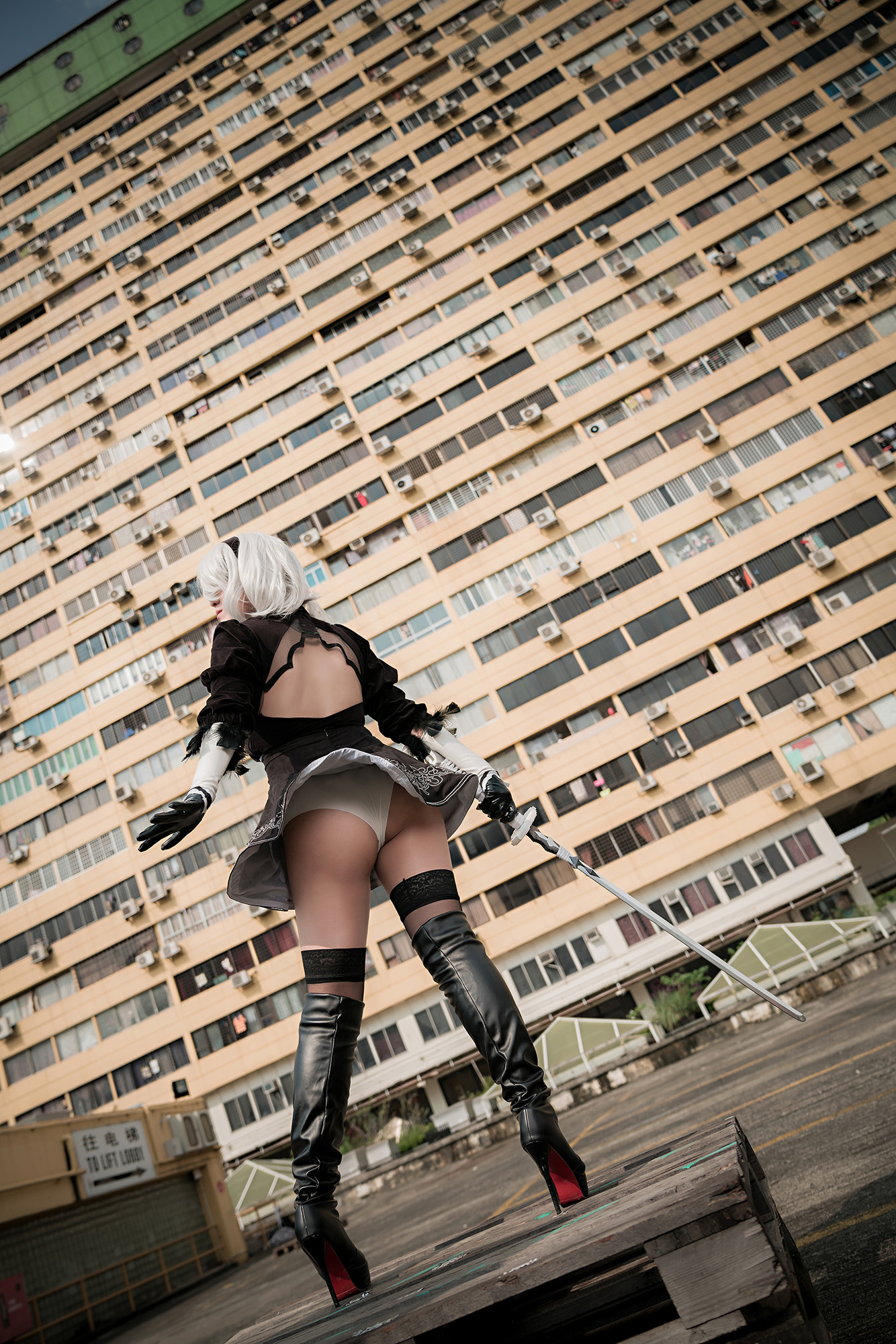 DSC07386a.jpg