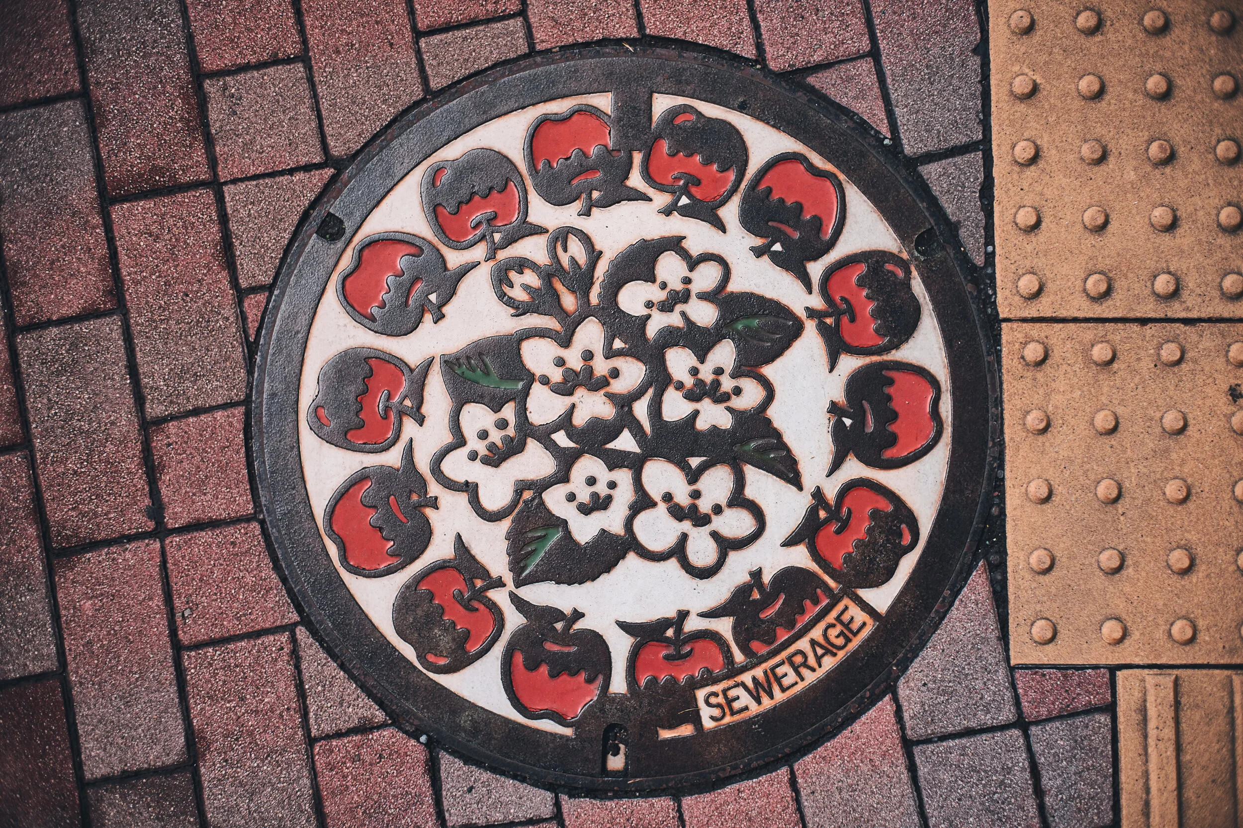 Nagano Manhole Drainspotting in Japan