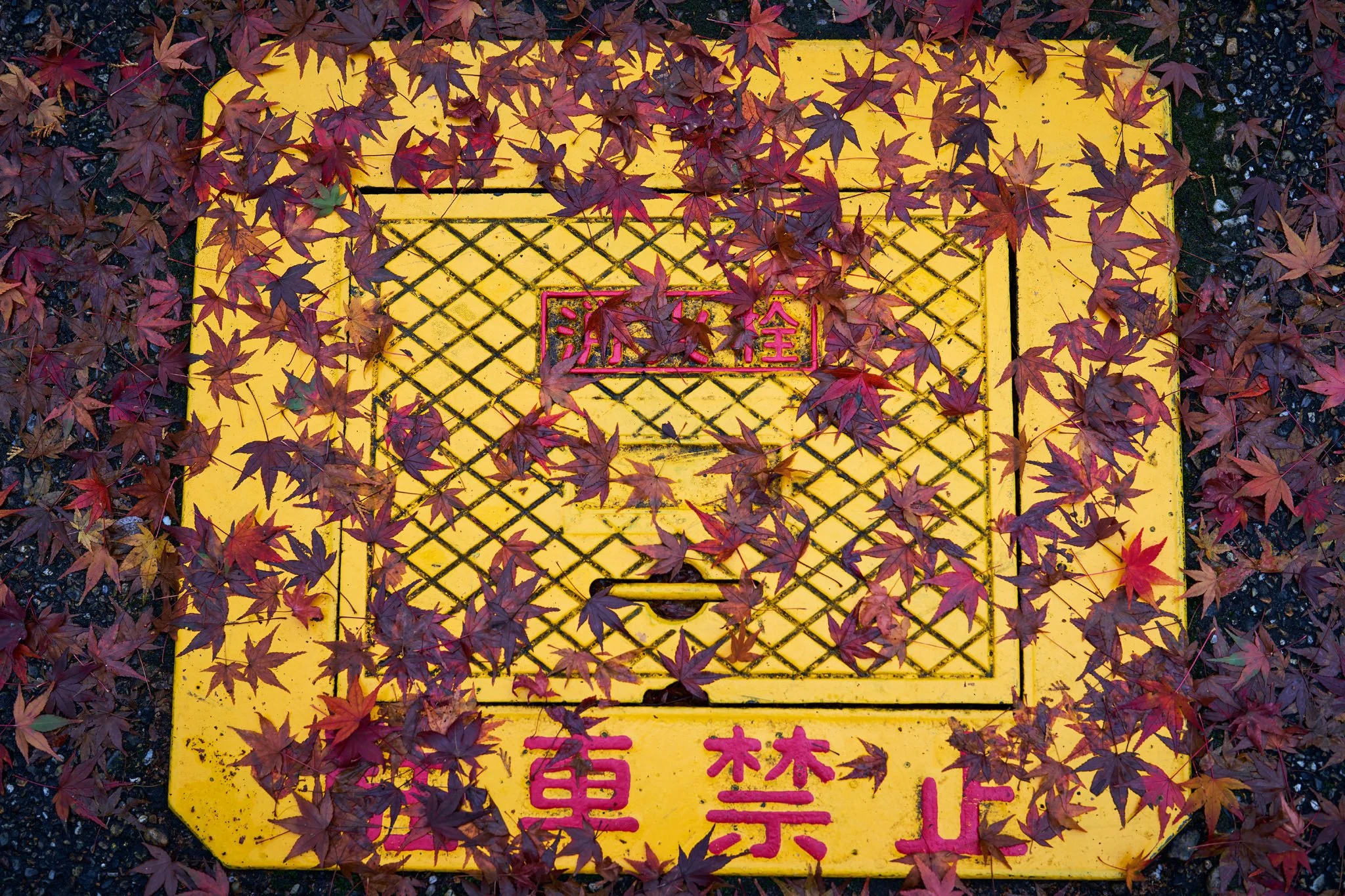 Kyoto Fire Hydrant Manhole Drainspotting in Japan