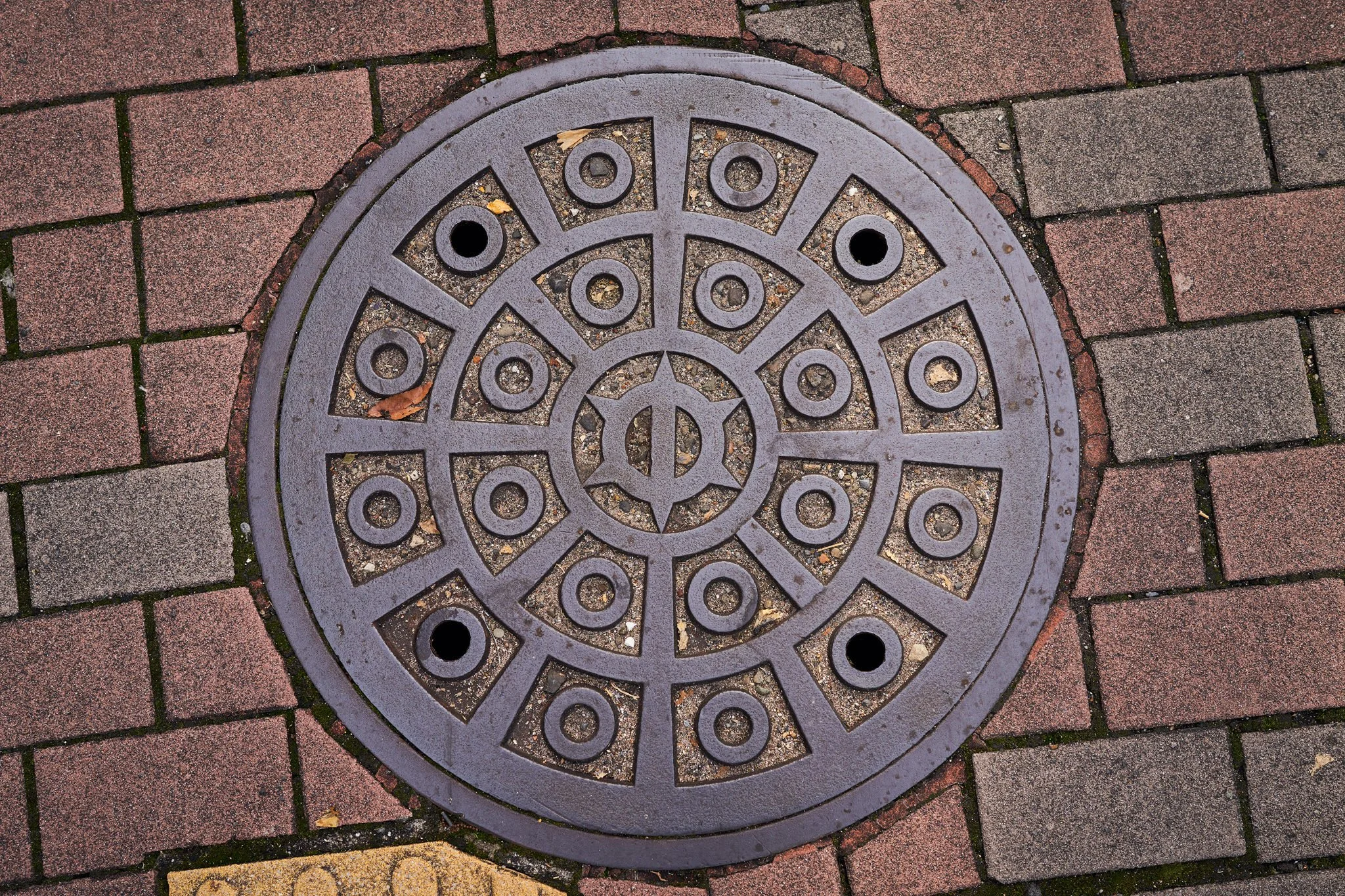 Nagoya Manhole Drainspotting in Japan