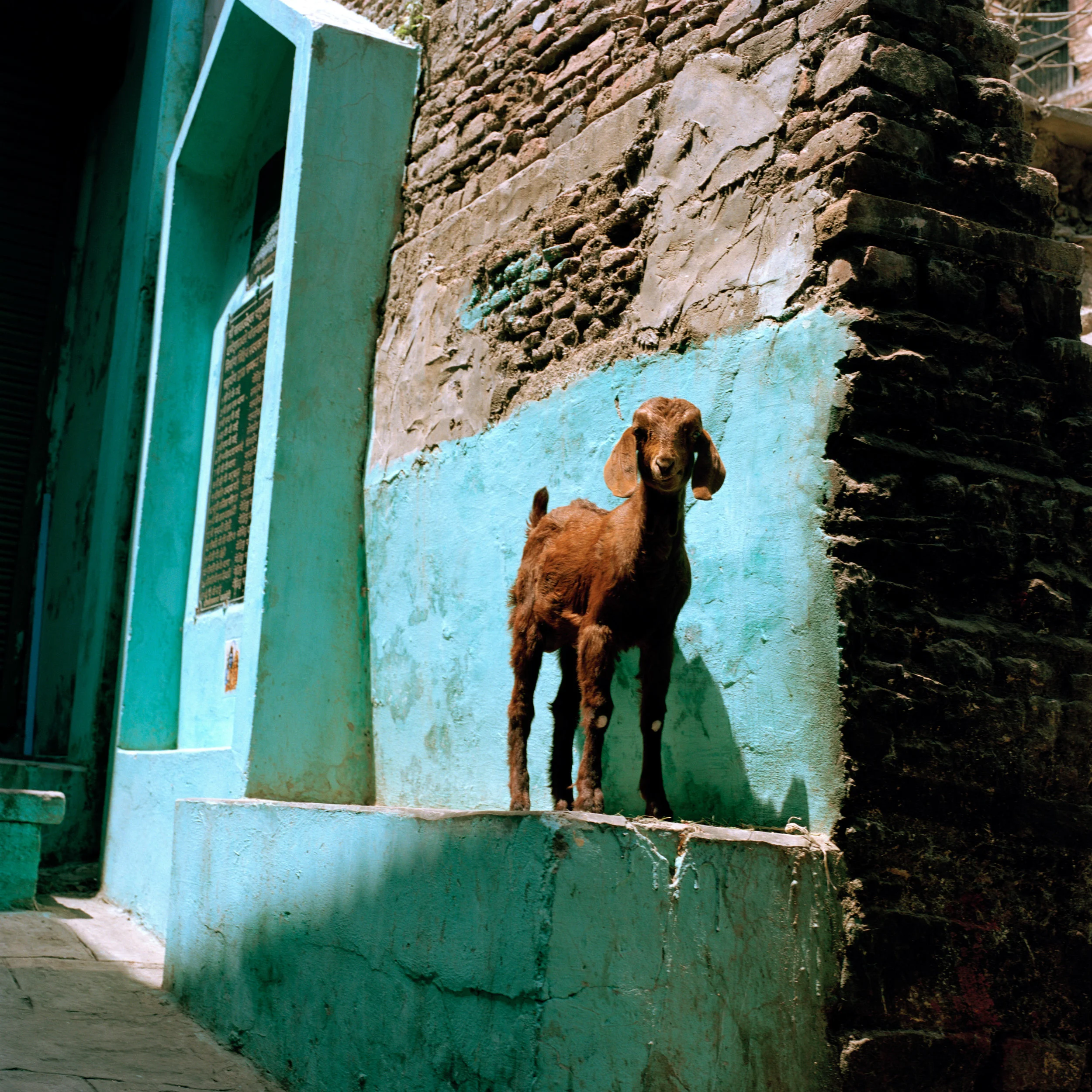 INDIA_1_8.jpg