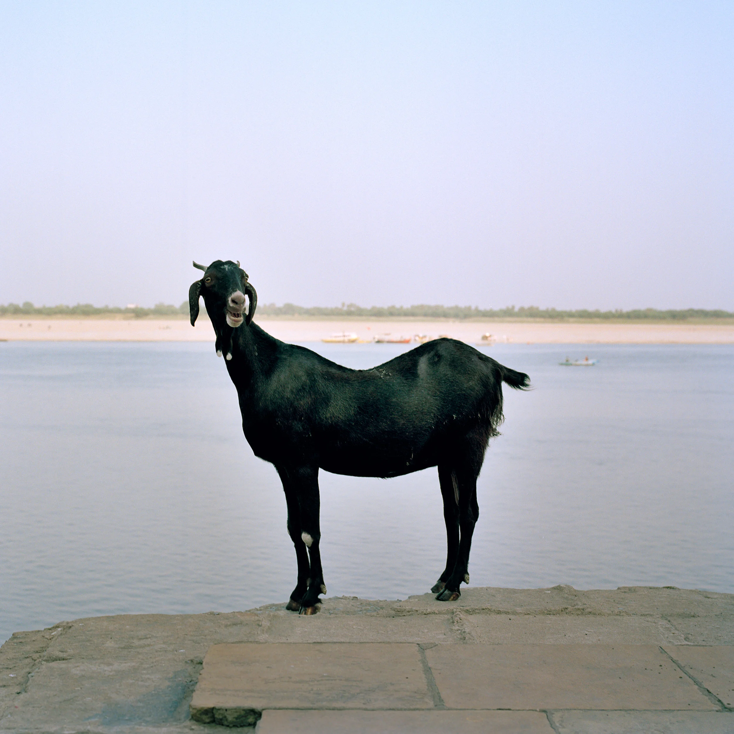 INDIA_5_3_PRINT.jpg