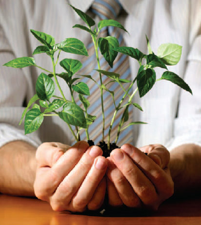 Tips for Small Businesses on Going Green