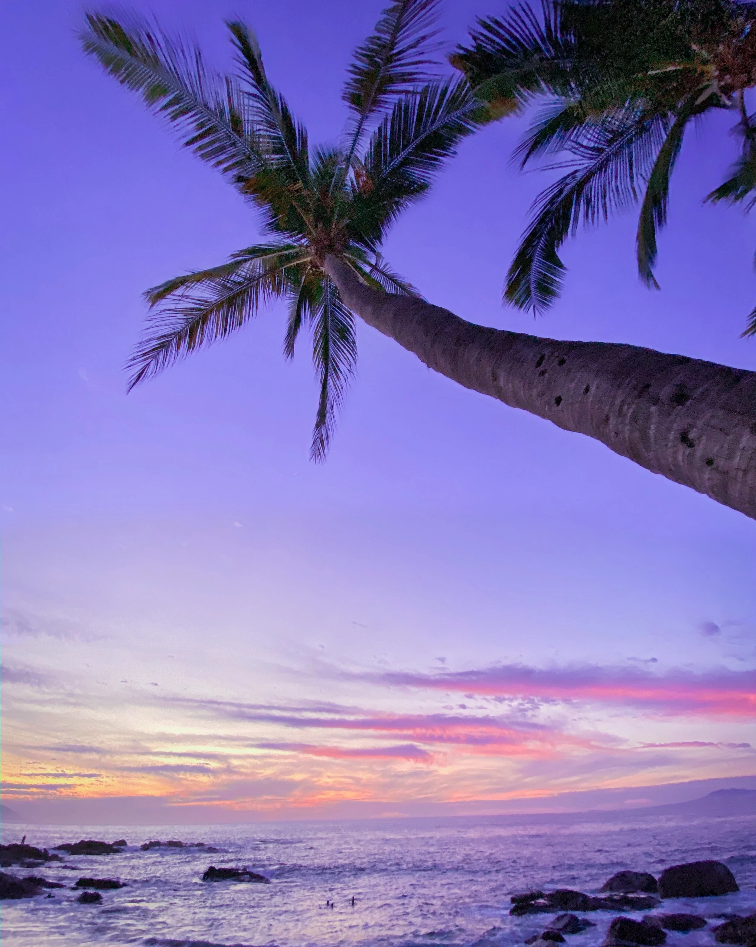 AfterlightImage 4.JPG