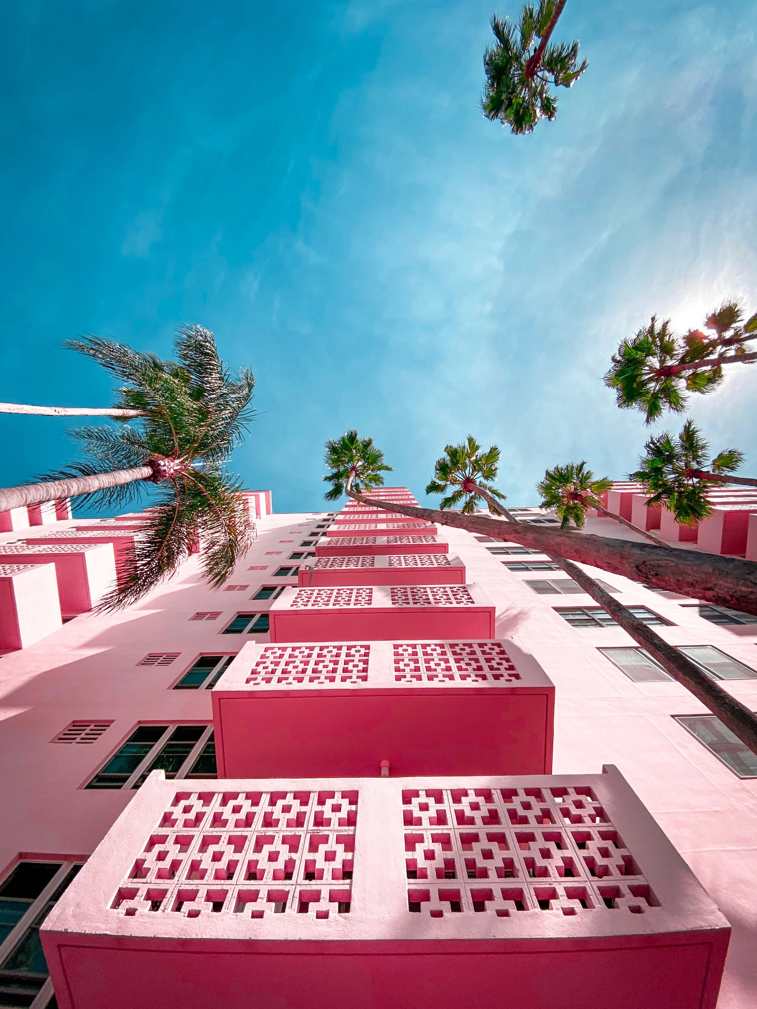 AfterlightImage 3.JPG