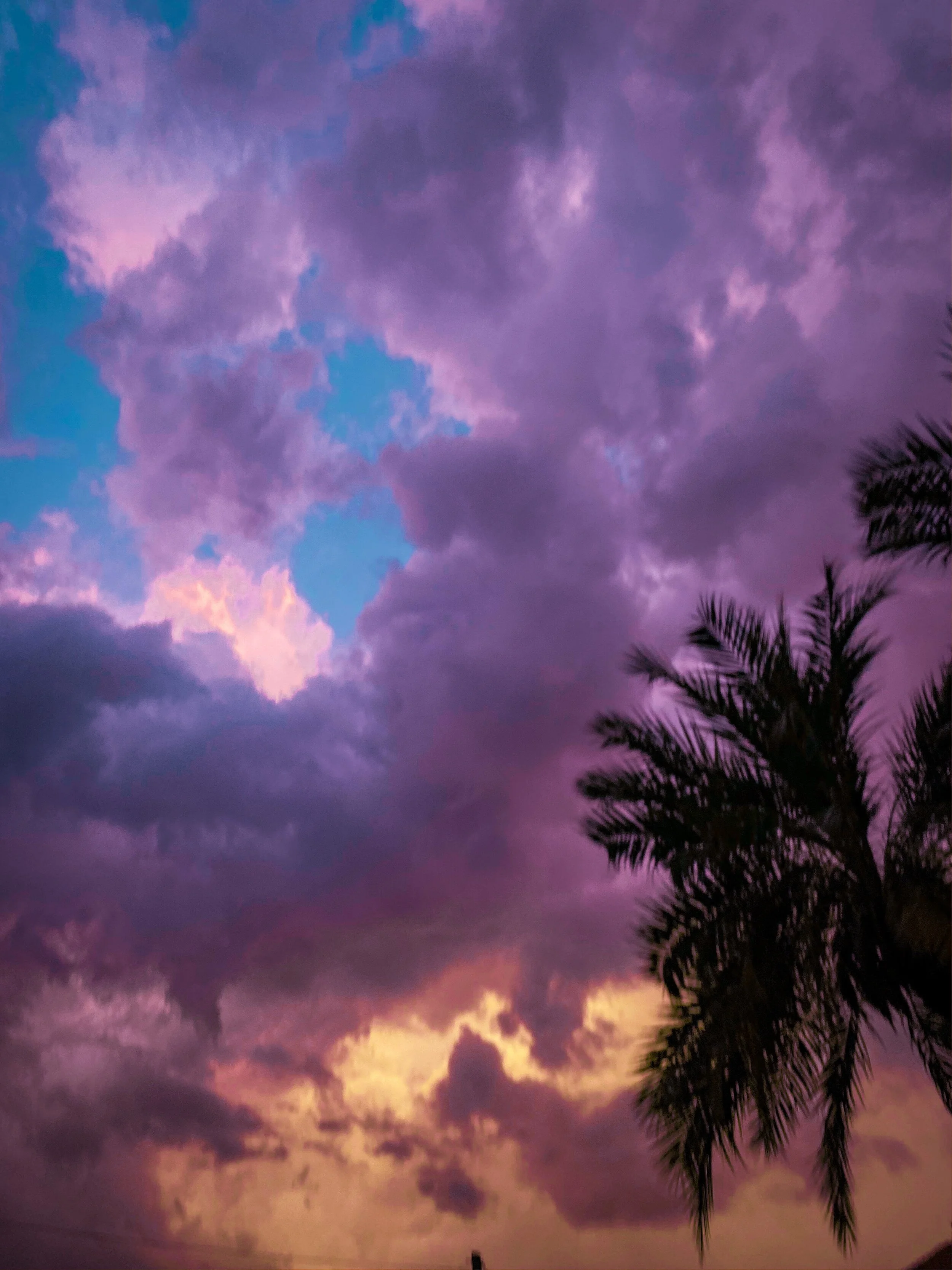 AfterlightImage 7.JPG