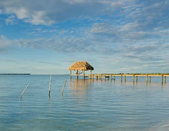 Ministry Of Health: No Coronavirus In Belize