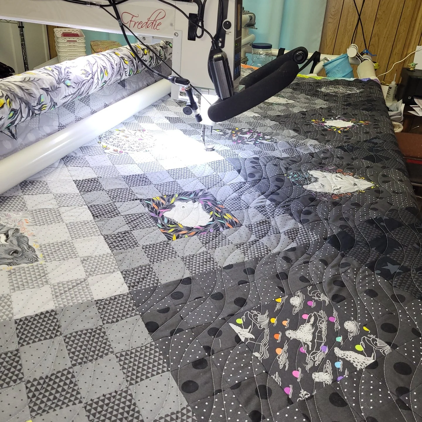 It's Freddie Friday!! 🎉🎉

It took me a little time to settle on a pantograph for this Fade to Grey quilt. The quilt is so dynamic on its own that I didn't want to add any distraction with the quilting!

I chose one of my new favorites Cindy's Water