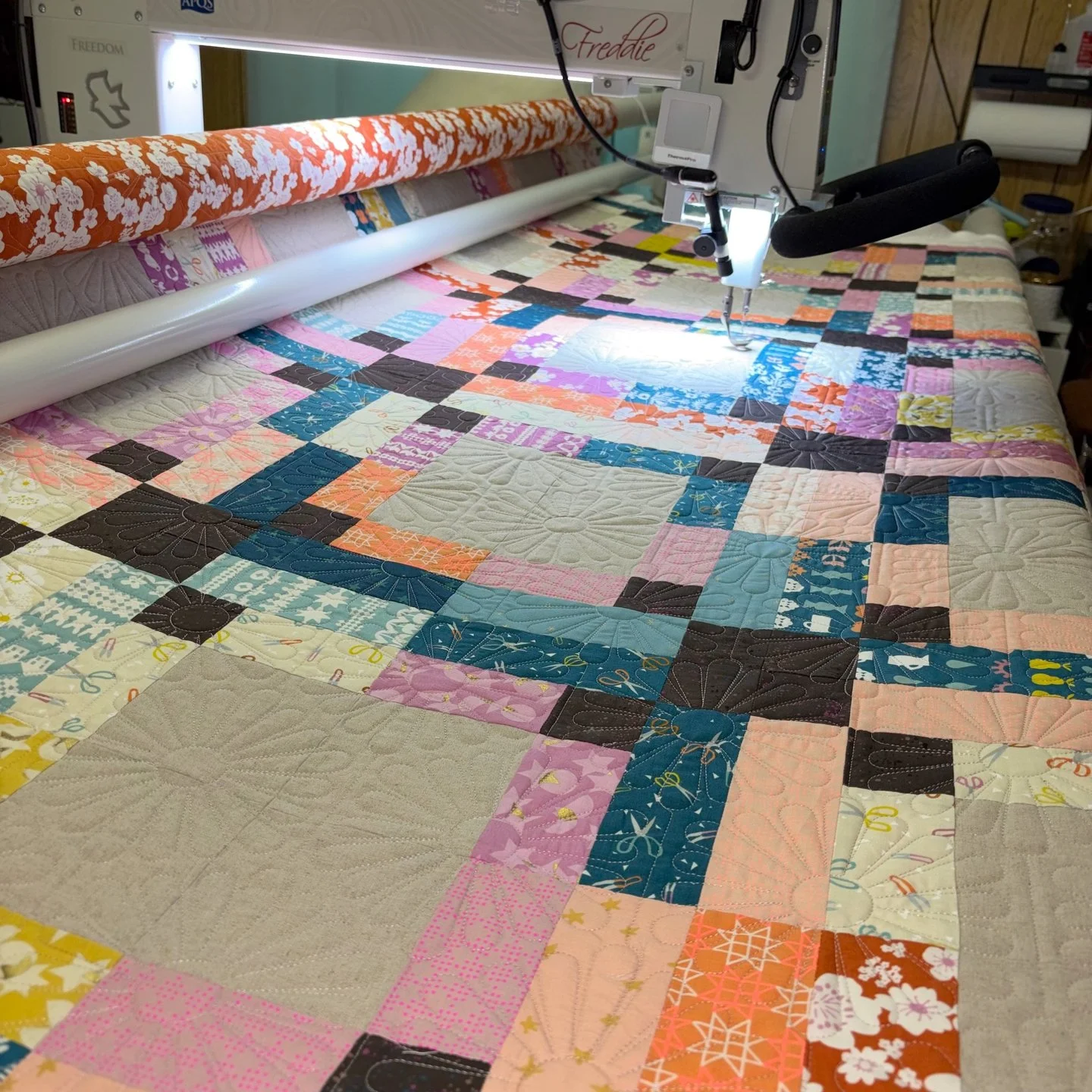 It's Freddie Friday!! 🎉🎉

Jenny sent over a box FULL of quilts and this was the first one I quilted. As it was quilting, I sent a photo of it to one of my quilty friends because I knew she'd appreciate seeing the combo of the panto and quilt!

This