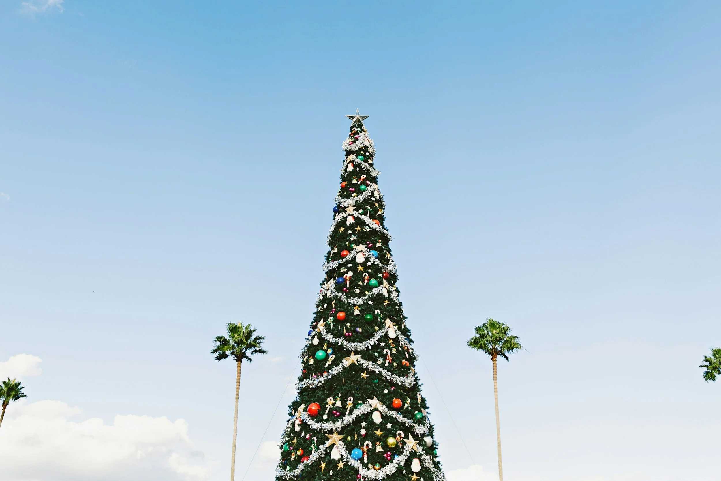 Winter Camps + Family Yoga Workshops