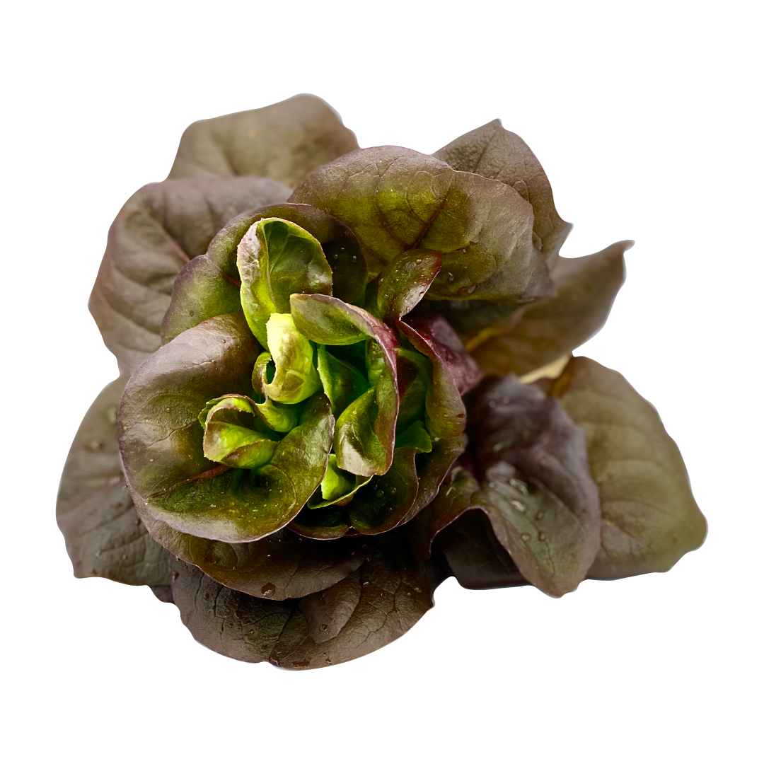 Flavor Profiles — cheekee greens farms