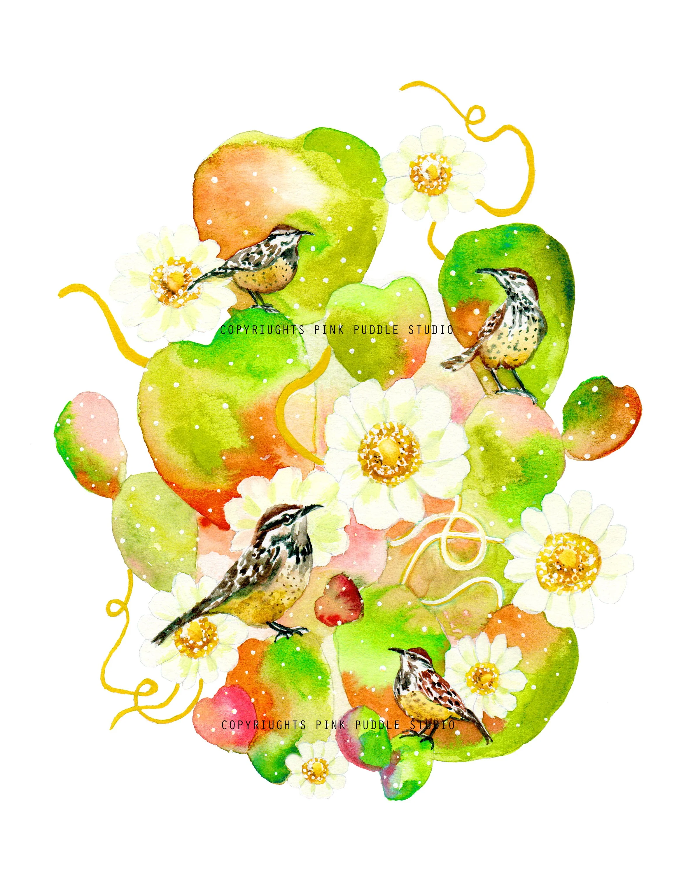 8x10 cactus wren print white back watermark.jpg