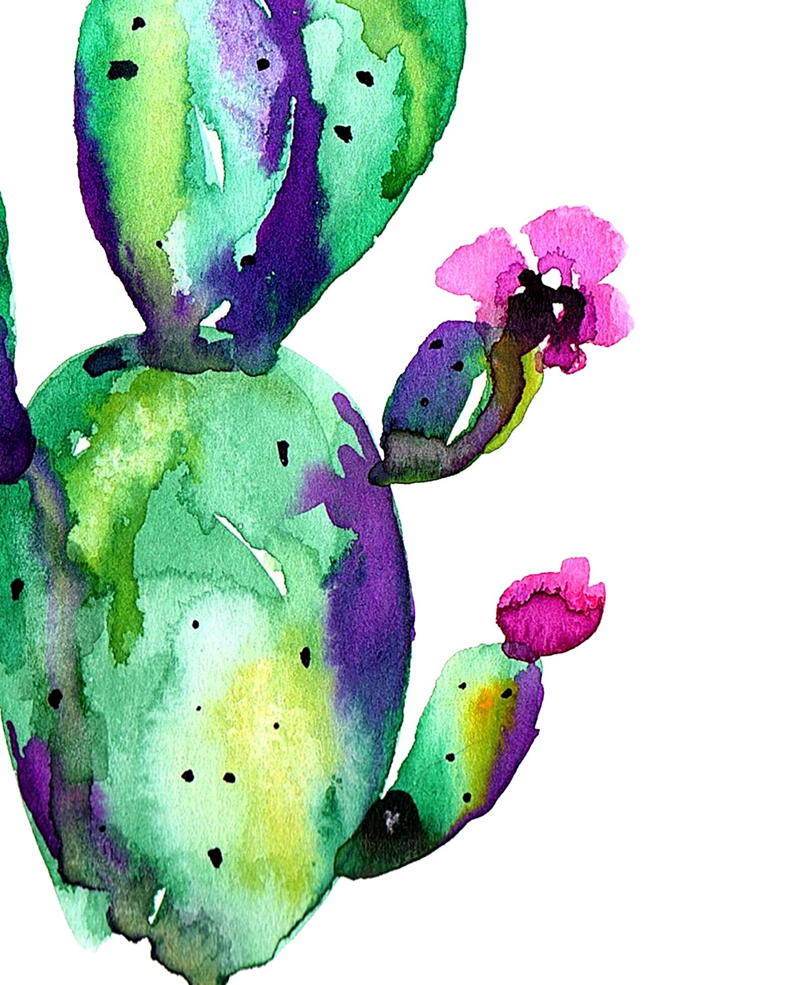 prickly+pear+drip+no+spots+8x10.jpg