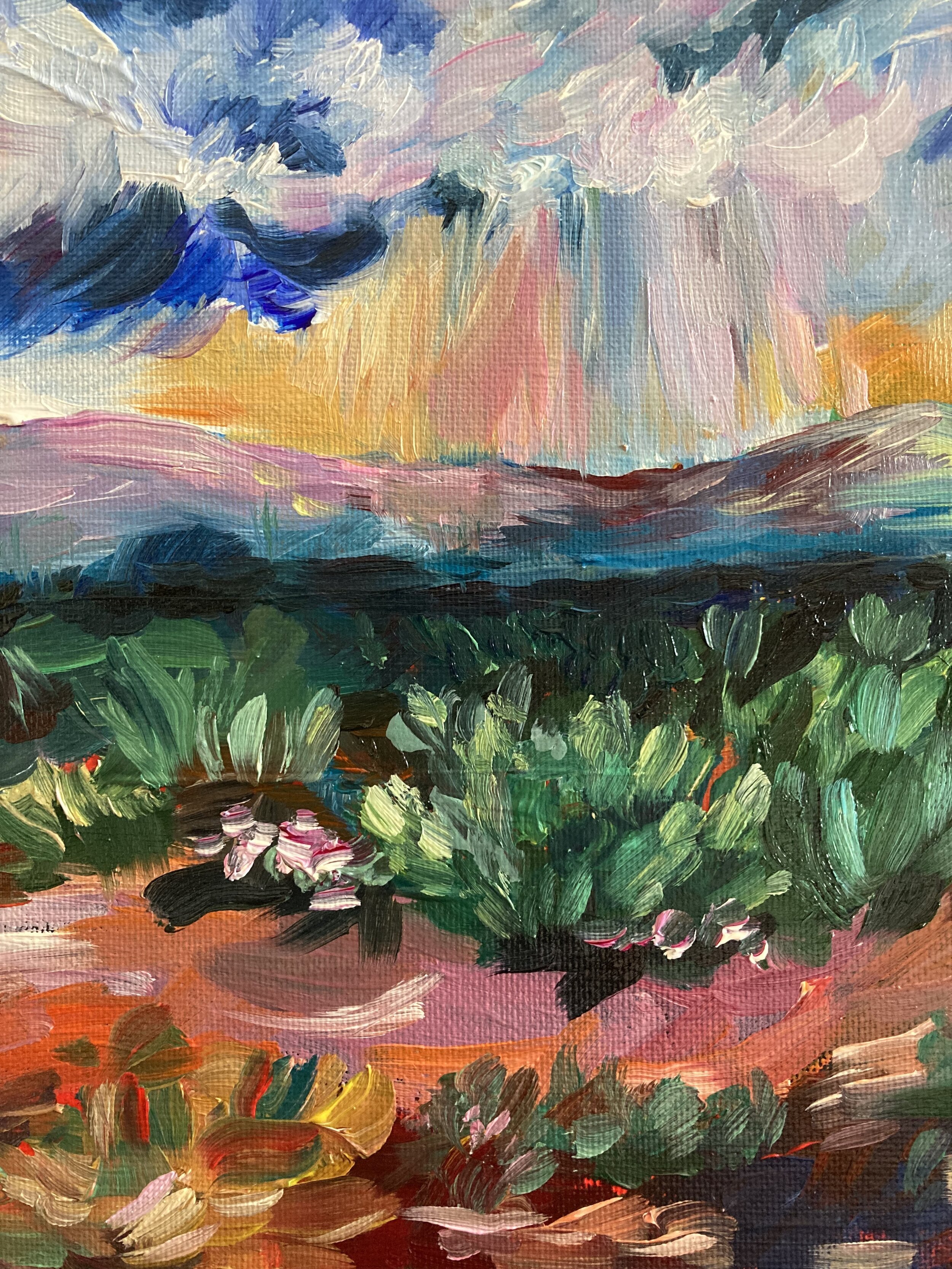 Desert Landscape Stormy Sky Oil Painting 8x10 Canvas Board — Pink Puddle  Studio