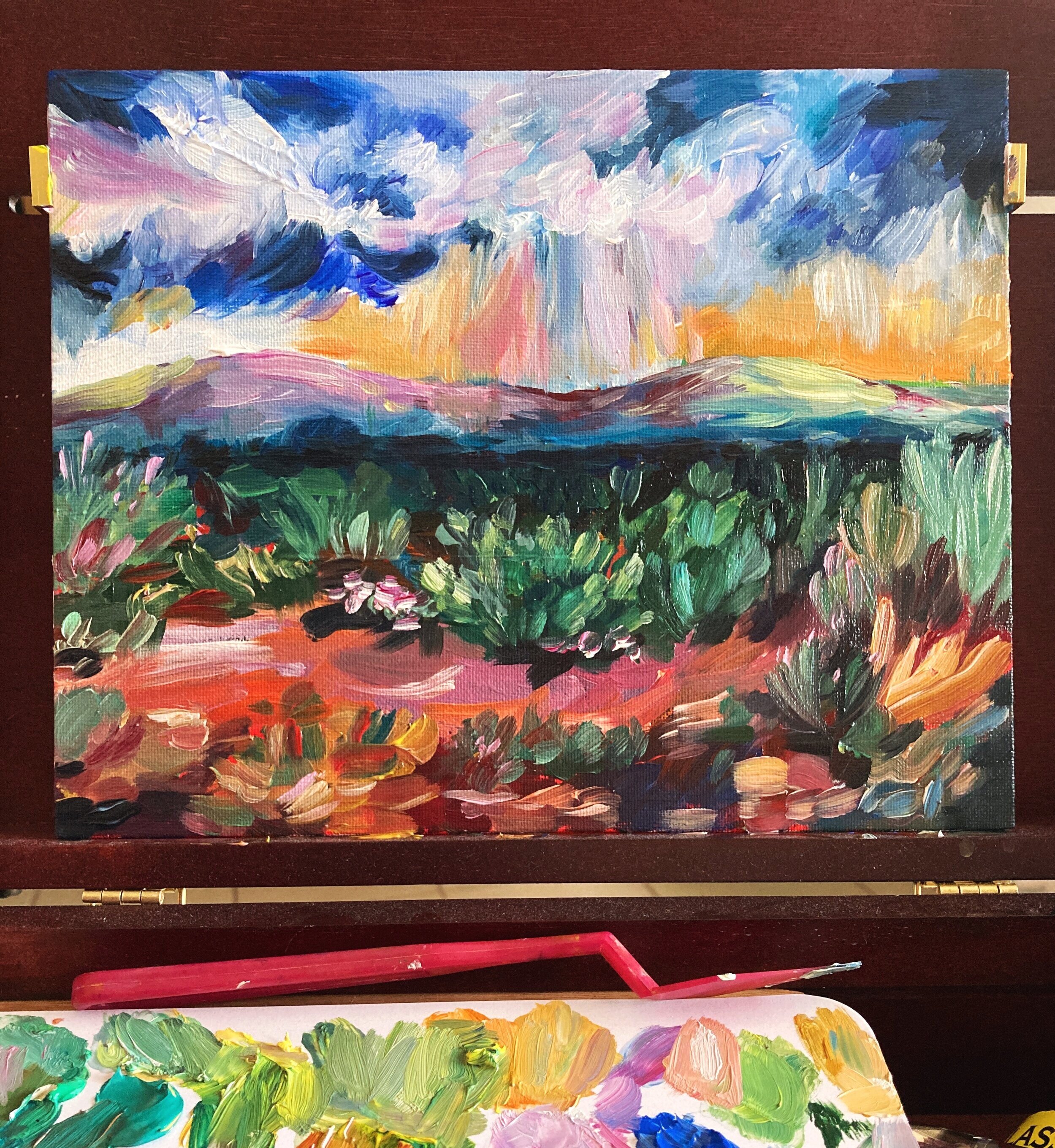 Desert Landscape Stormy Sky Oil Painting 8x10 Canvas Board — Pink Puddle  Studio