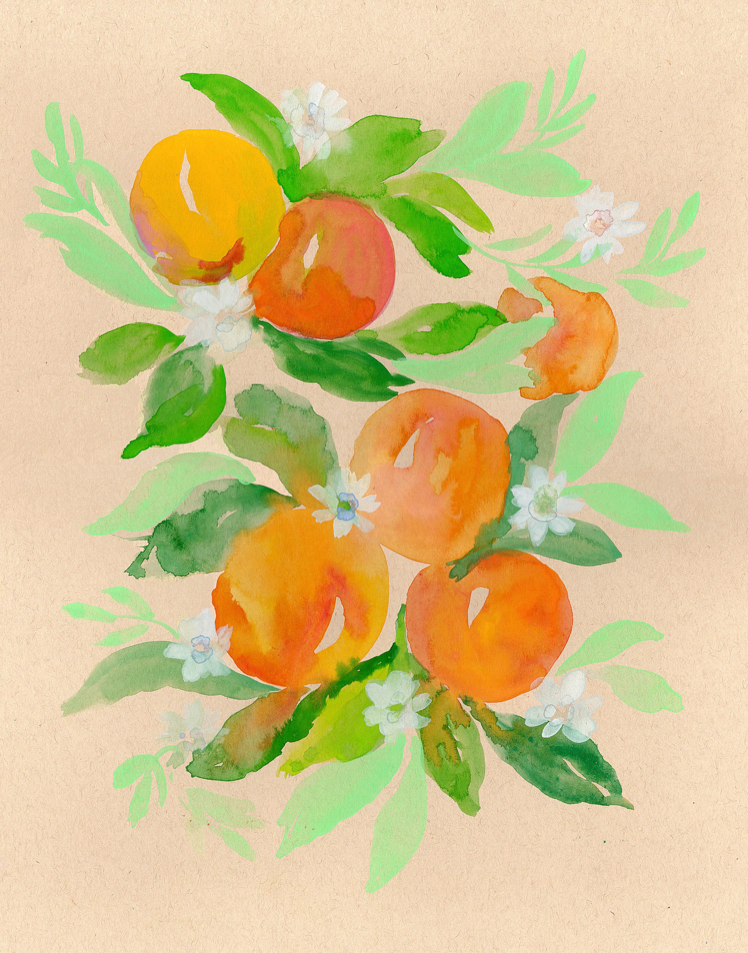 oranges 2 11x14, smaller.jpg