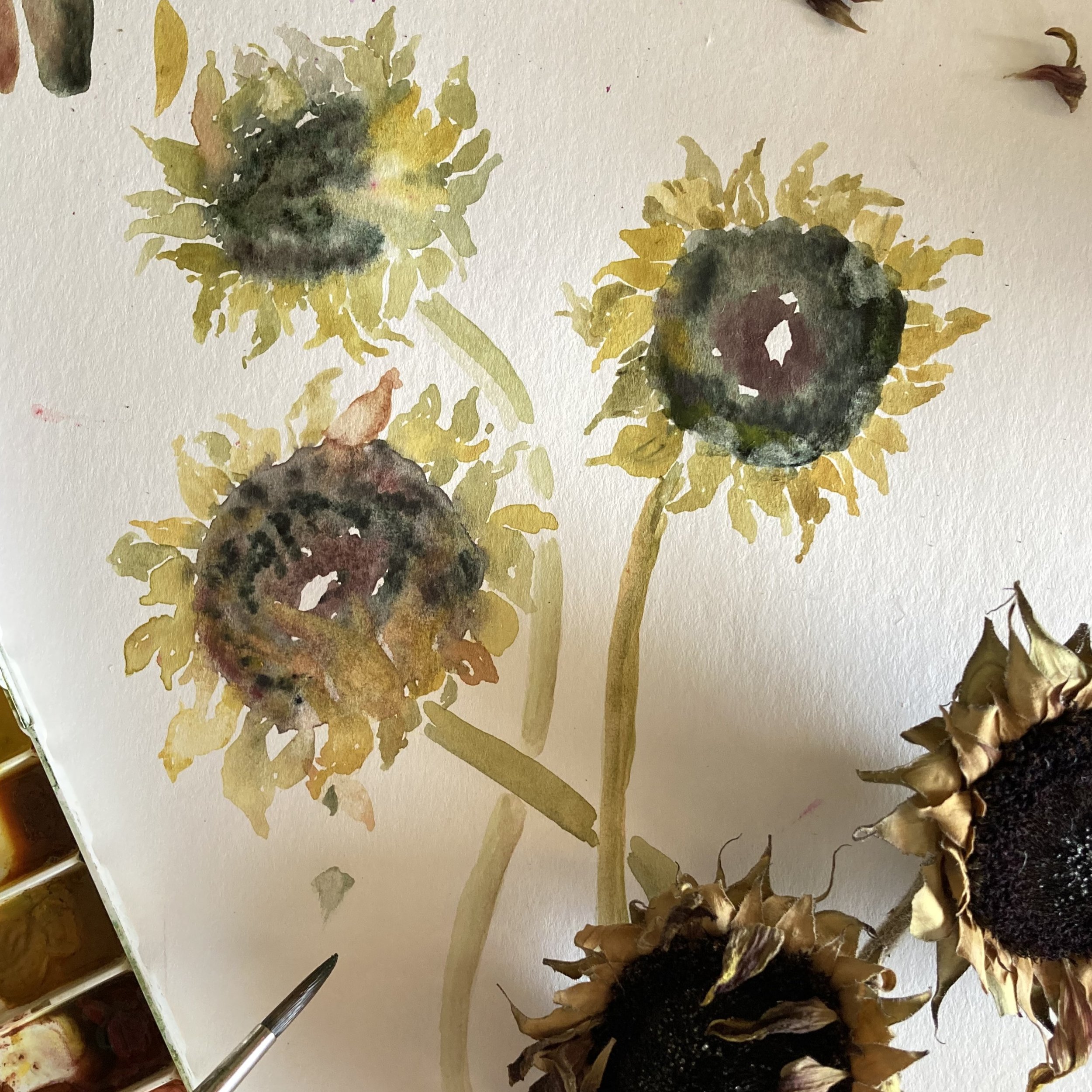 Free October Watercolor Painting Session: Withered flowers ONLINE | Register Here!