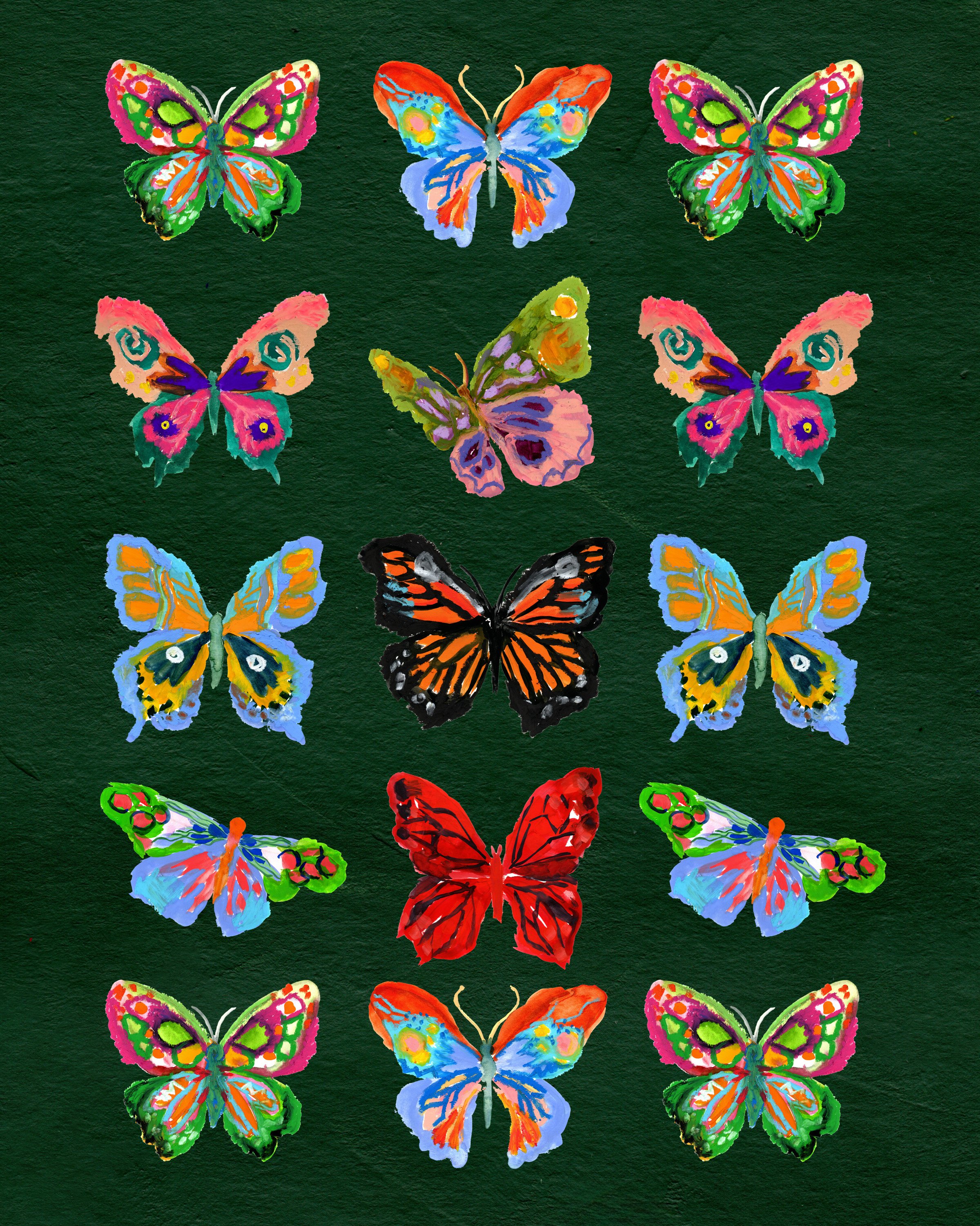 butterfly grouping 8x10.jpg