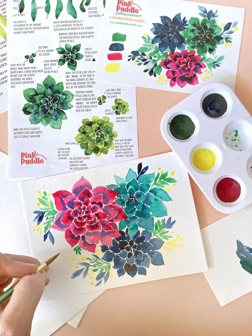 Succulent Cactus Watercolor Painting for Beginners Easy Art Painting Mini  Kit DIY  Pink Puddle Studio