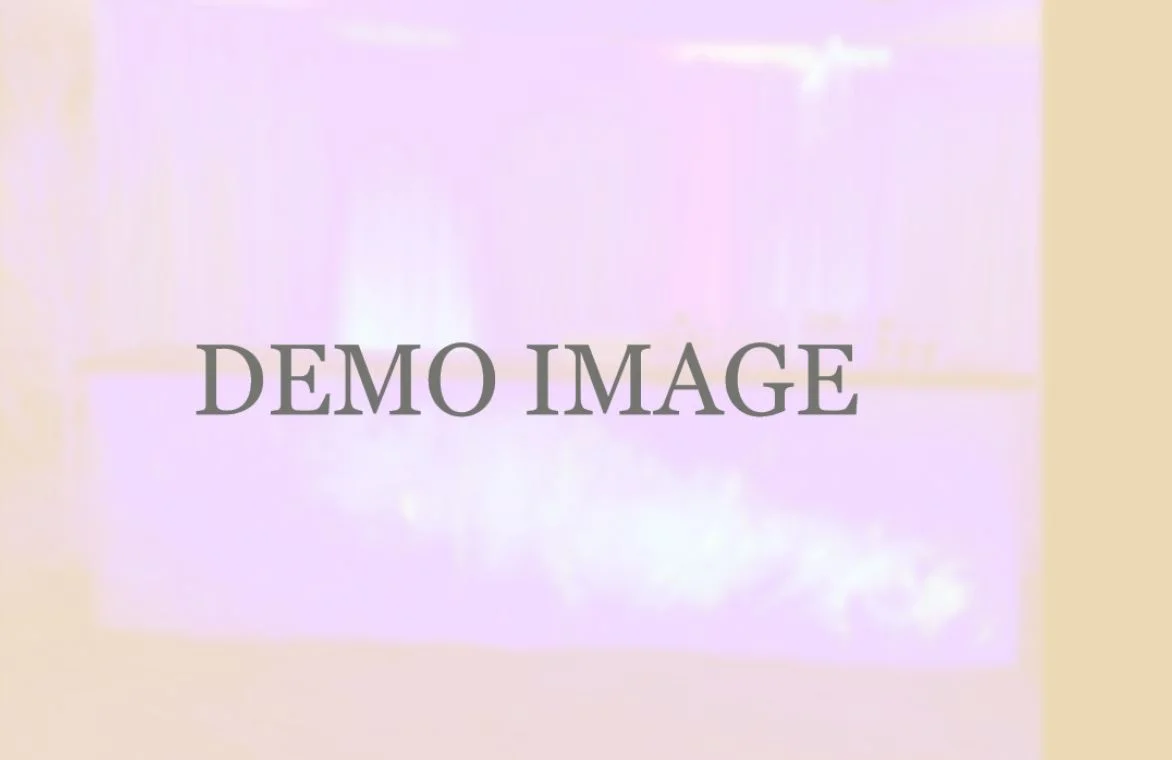 Furniture Hire: German Market Stalls 