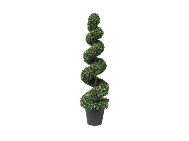 Furniture Hire: Boxwood Spiral Plants