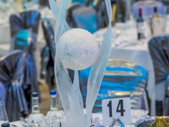 Themed Table Centres: Ice Theme Table Centres