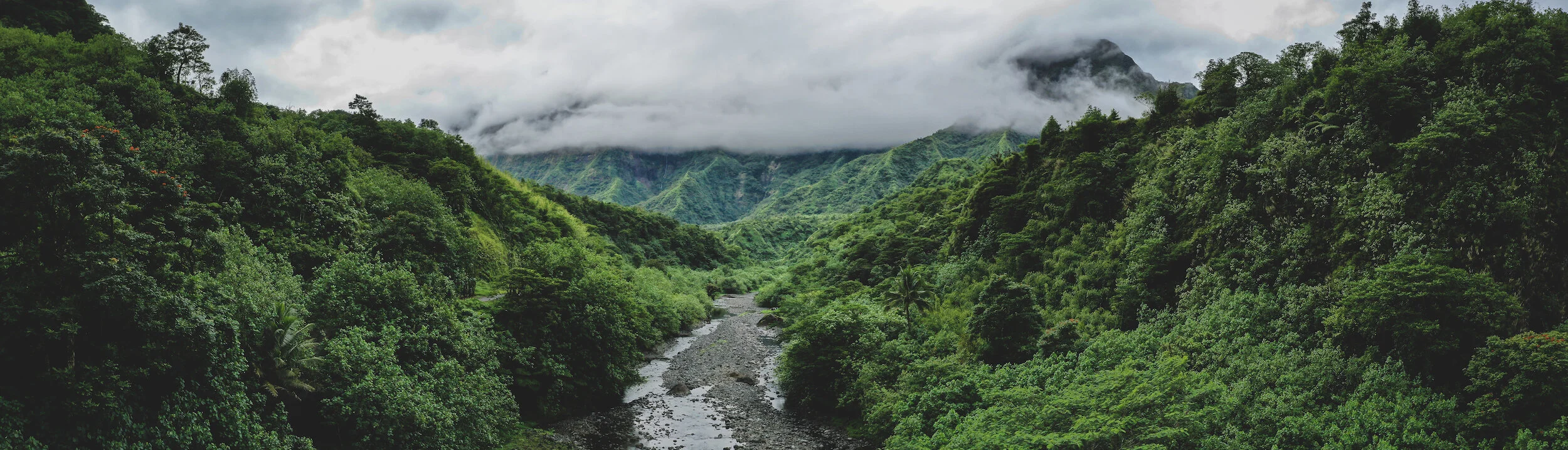 Tahitian Valley-1 LO.jpg