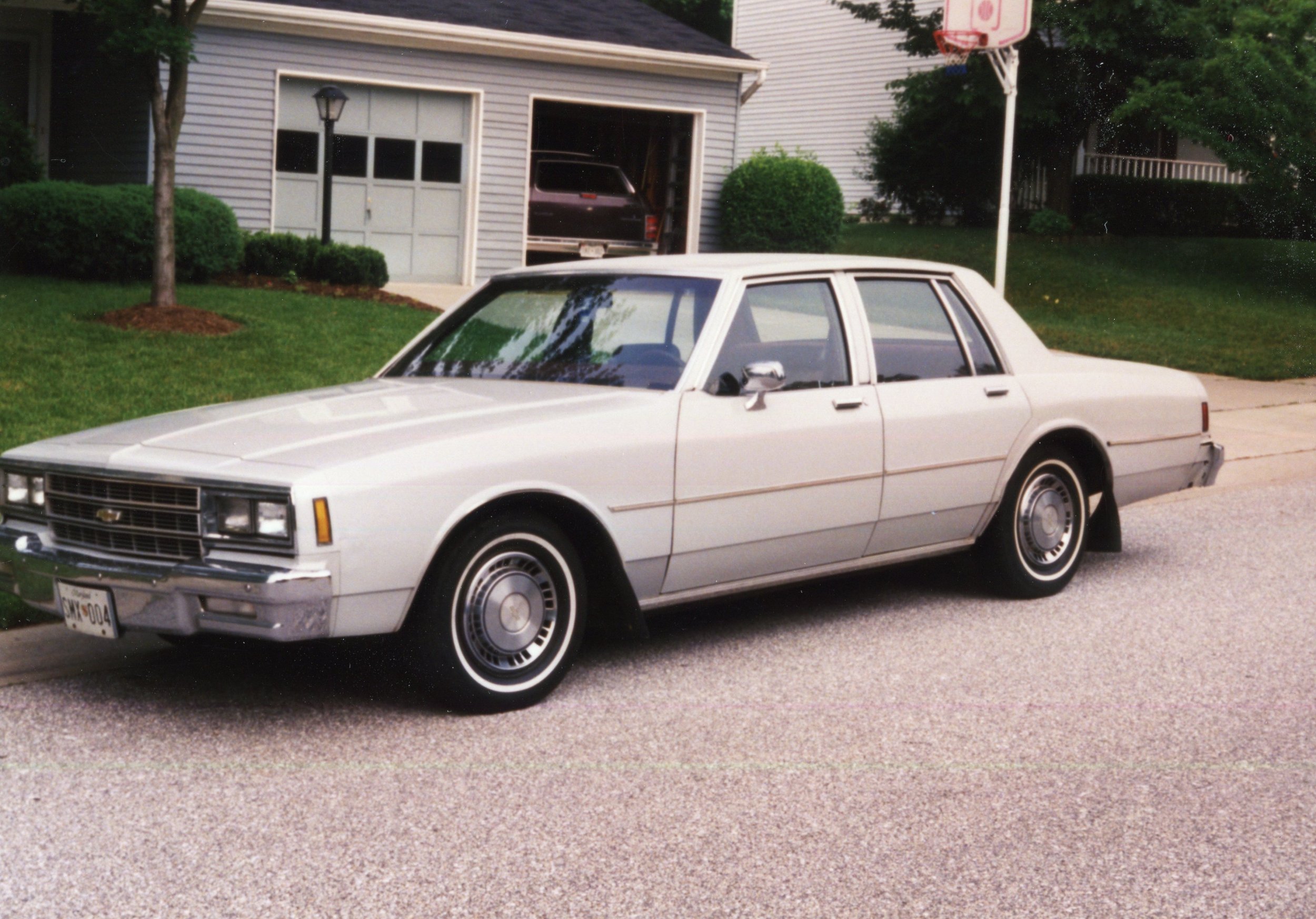 An emotional sanctuary on the court