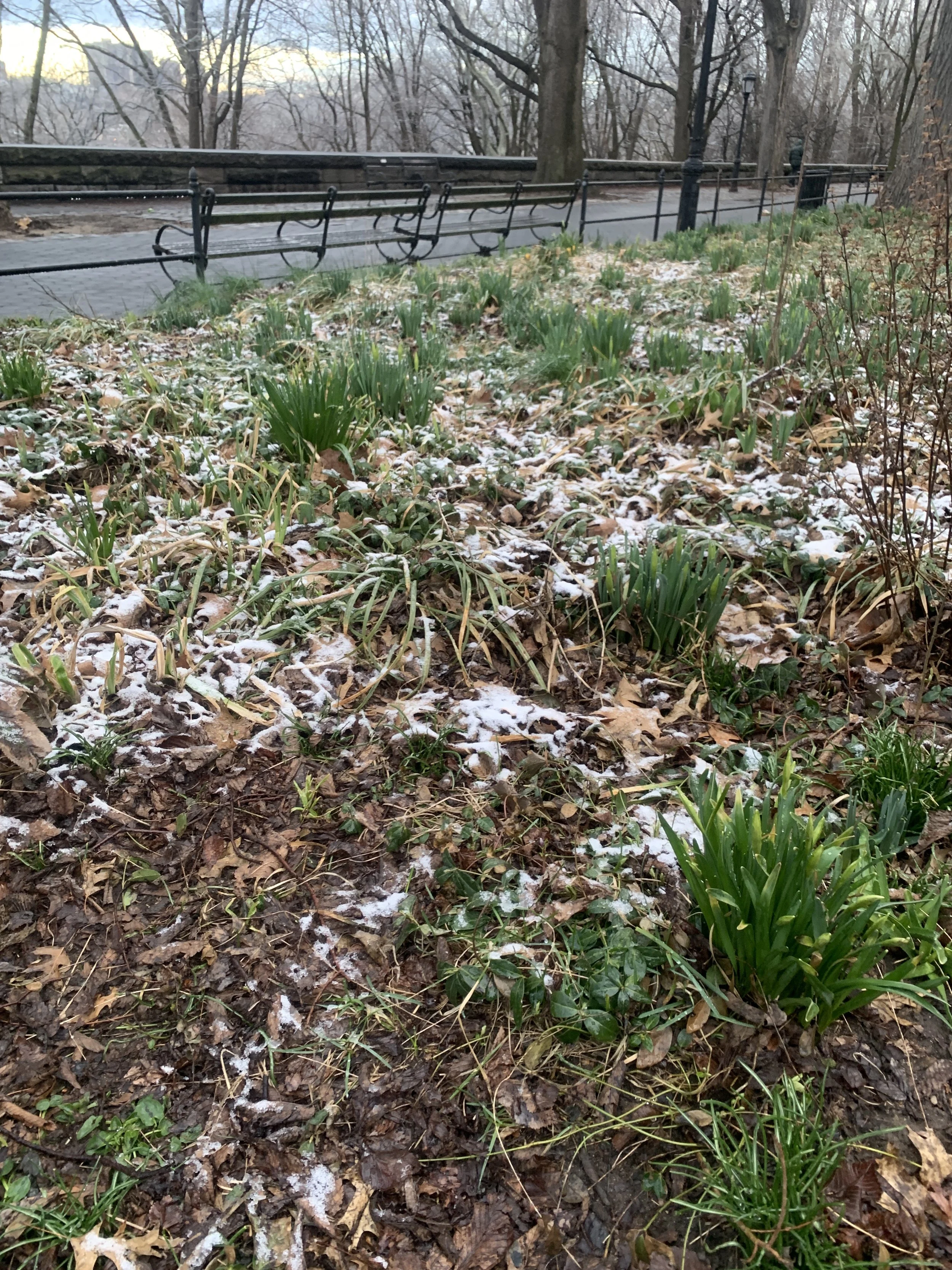 When the seasons need just a little more time