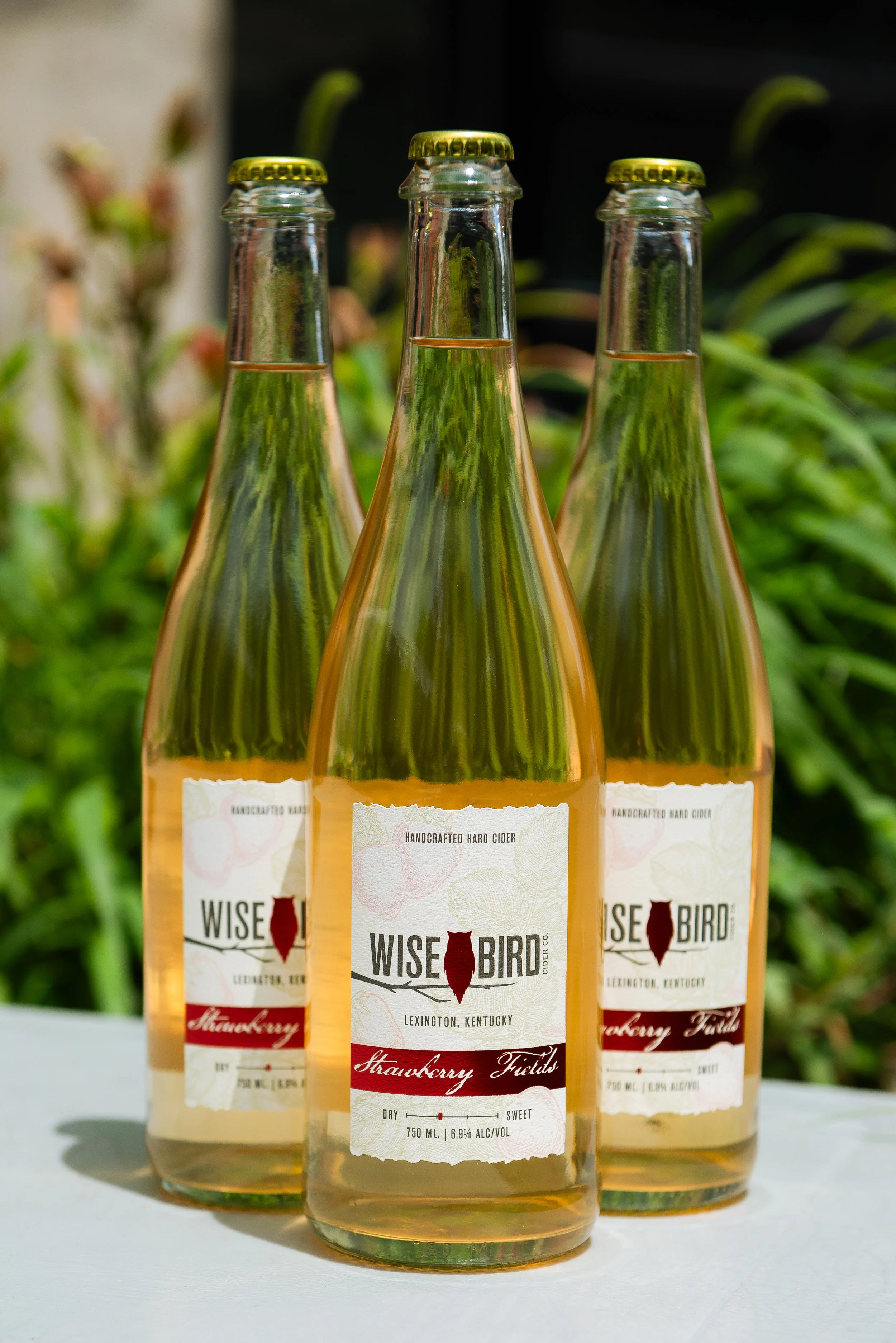 WBC Strawberry Fields Bottle (1).jpg