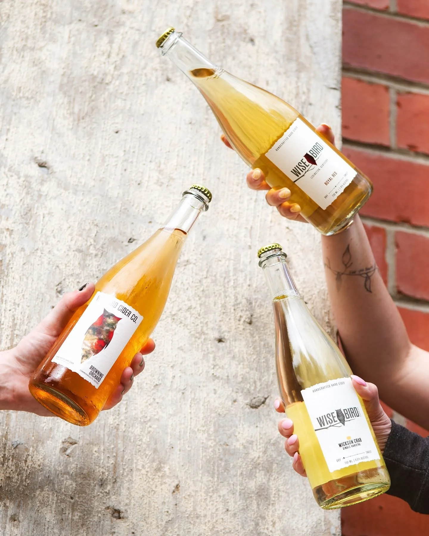 Wise Bird Cider Bottles.jpg