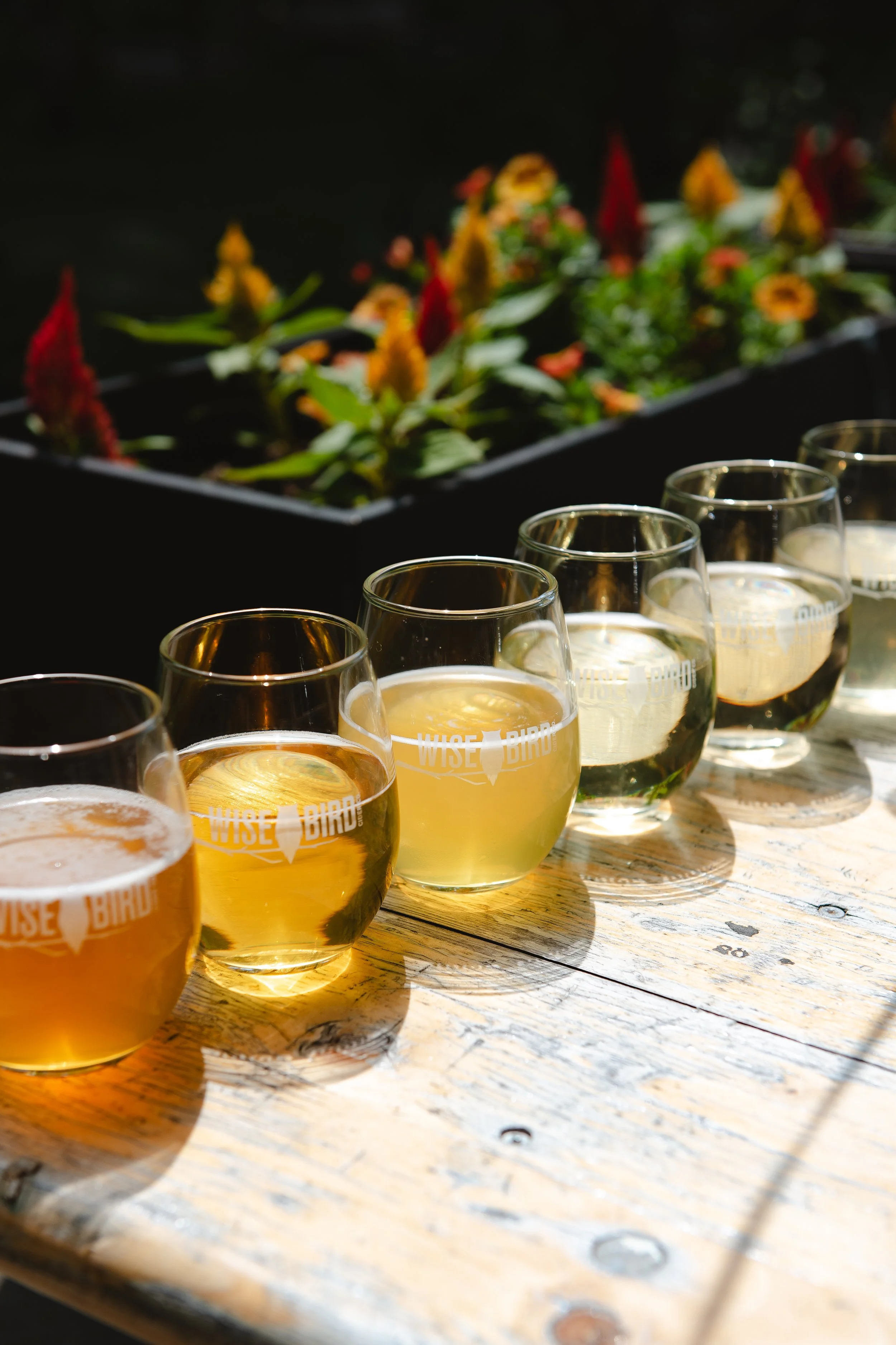 WBC Glasses of Cider.jpg
