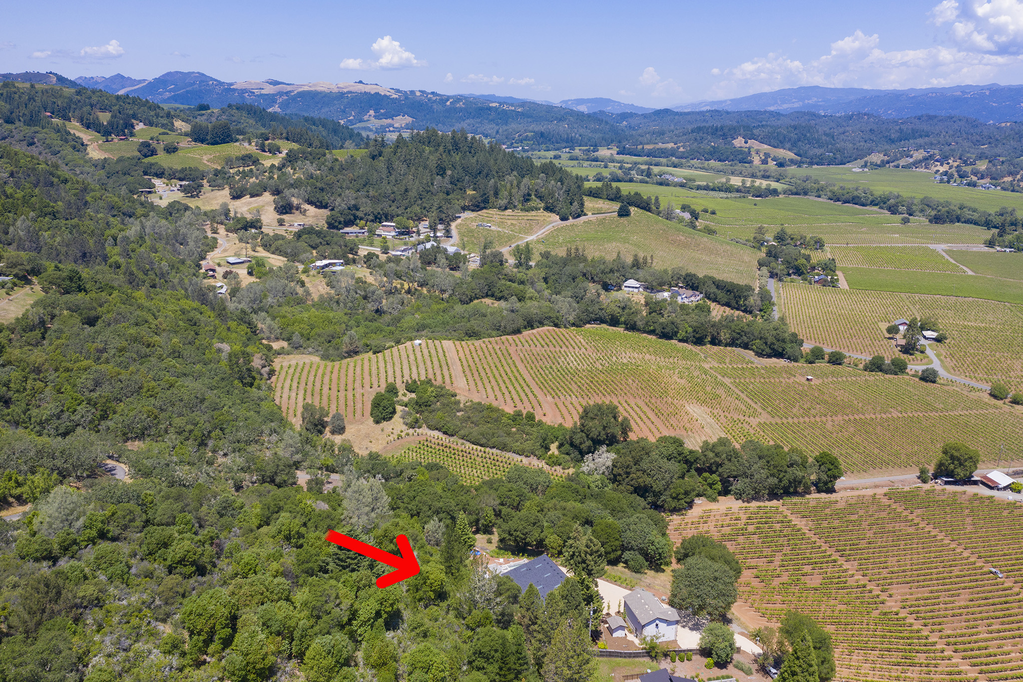 DJI_0046.jpg