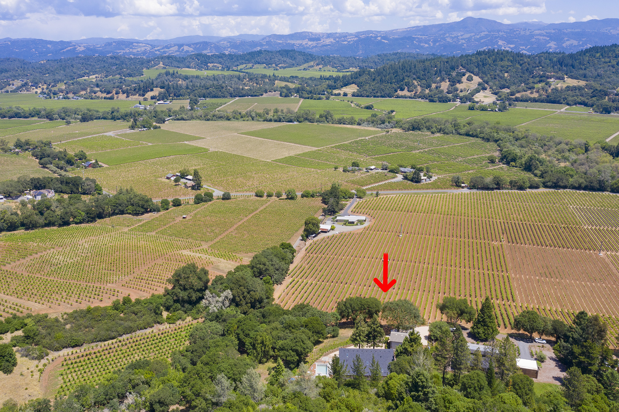 DJI_0048.jpg