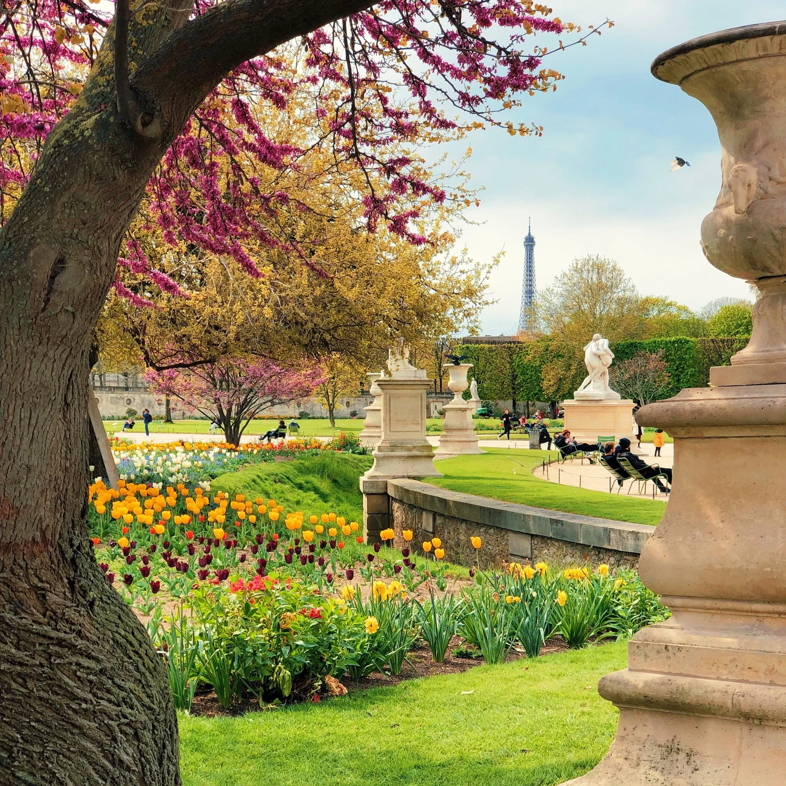 What is the difference between a landscape architect and a landscaper?