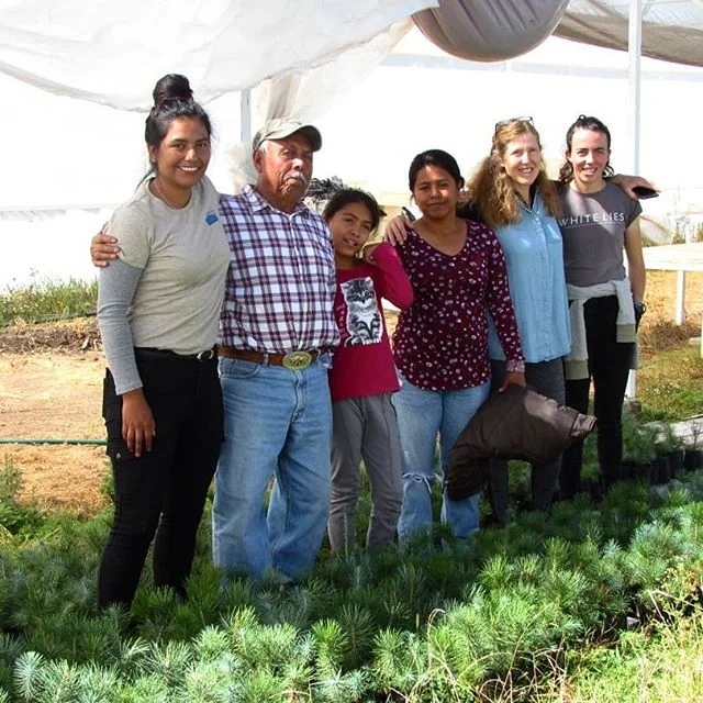 Por este medi&oacute;, queremos brindar un fuerte agradecimiemto a Chavela voluntaria y comprometida con nuestro Proyecto, ella viaj&oacute; a M&eacute;xico a conocer m&aacute;s de cerca el Proyecto de Hermanamiento "Aves Compartidas" Willa