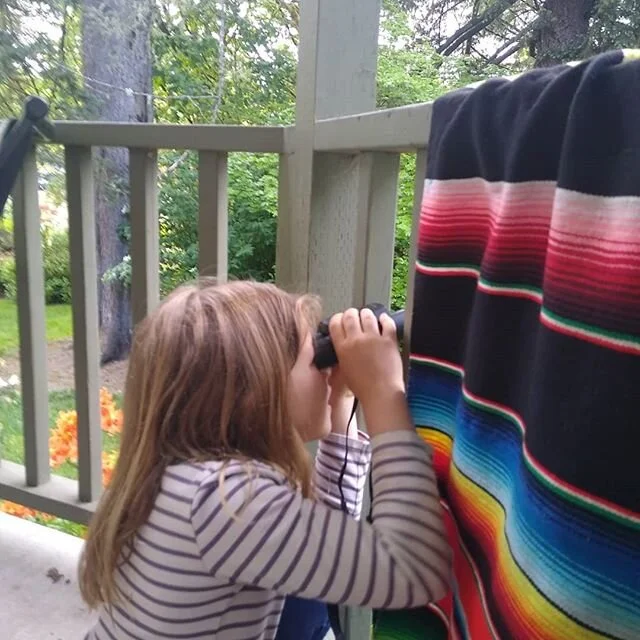 Observaci&oacute;n de aves en el patio trasero desde una estaci&oacute;n de aves casera. &iexcl;Llegaron los Blackheaded Grosbeaks!

Bird watching from our homemade bird blind, and the Blackheaded Grosbeaks arrived!