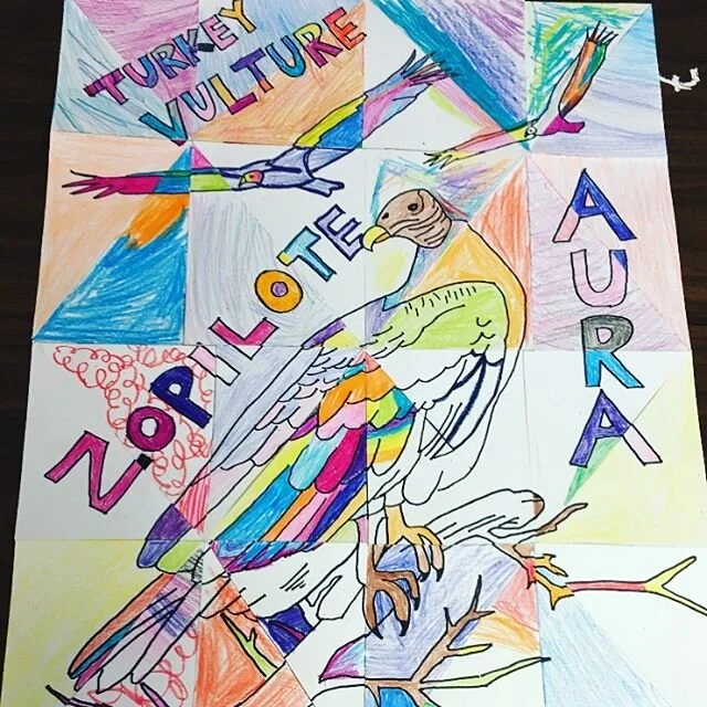 &iquest;Sabias que el zopilote aura vive desde Canad&aacute; hasta la el punto m&aacute;s sur de Sudam&eacute;rica? Este rompecabezas fue hecho por los estudiantes de 4to grado de la escuela primaria el Puente, en Oregon. 
Did you know that turkey vu