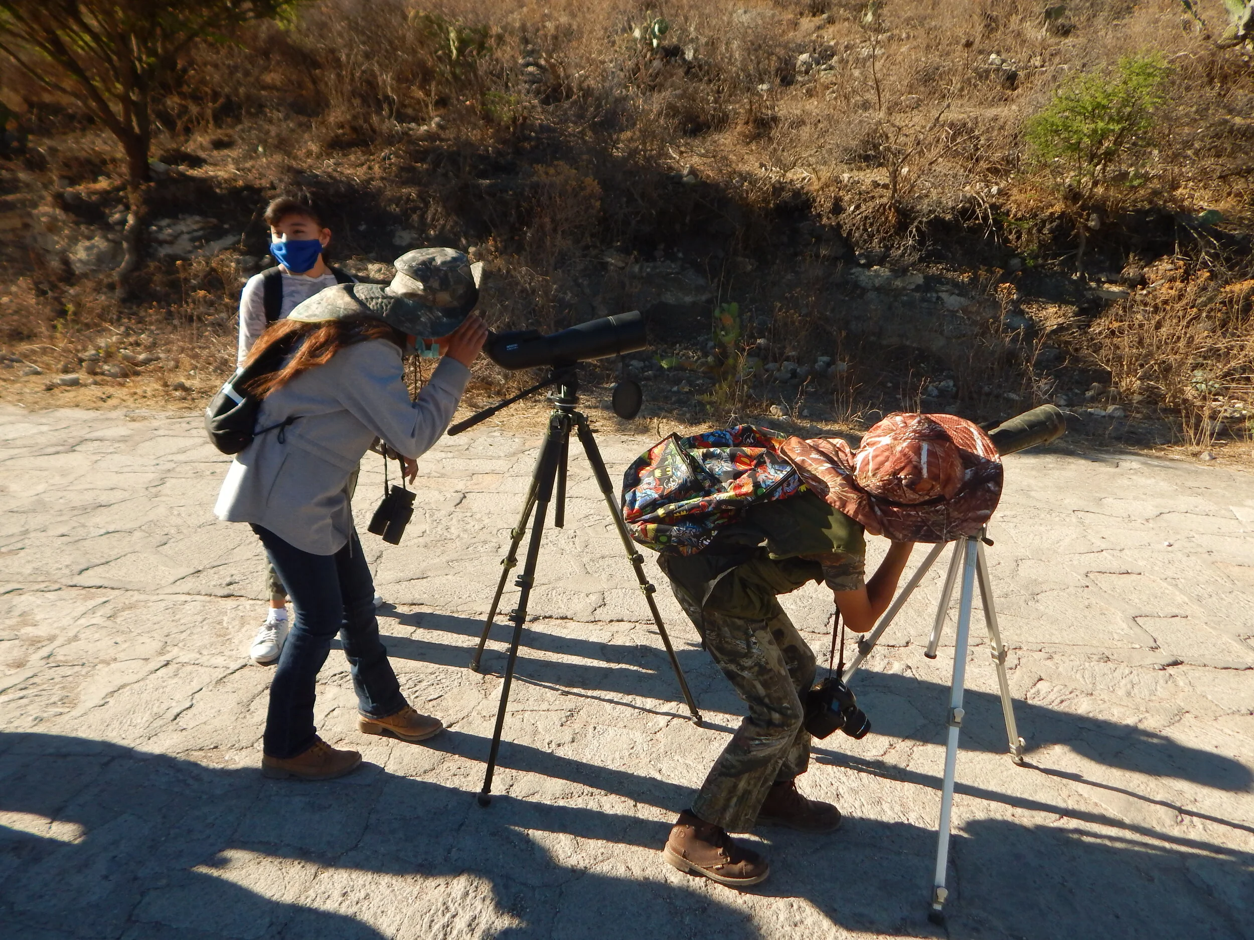 Observación de aves  en el Área Natiral Protegida Peña Alta, en la Comunidad Presa de San Franco, San Diego de la Unión, Guanajuato.