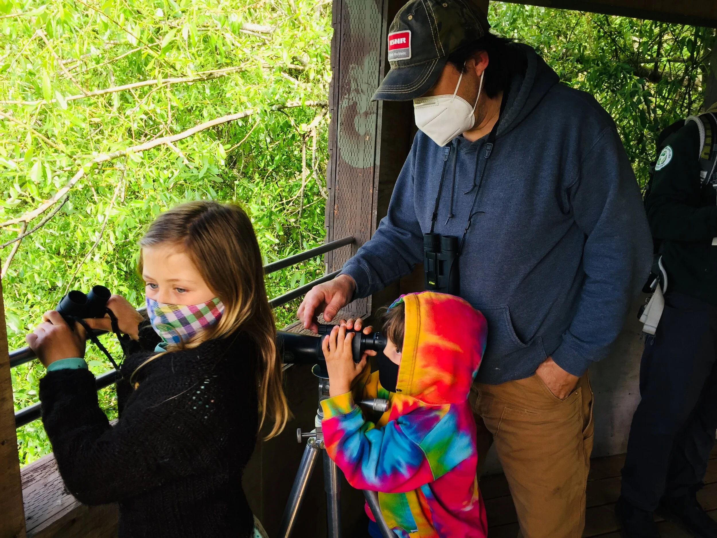 Observación de aves en el Refugio Nacional de William L. Finley, Corvallis, Oregon.